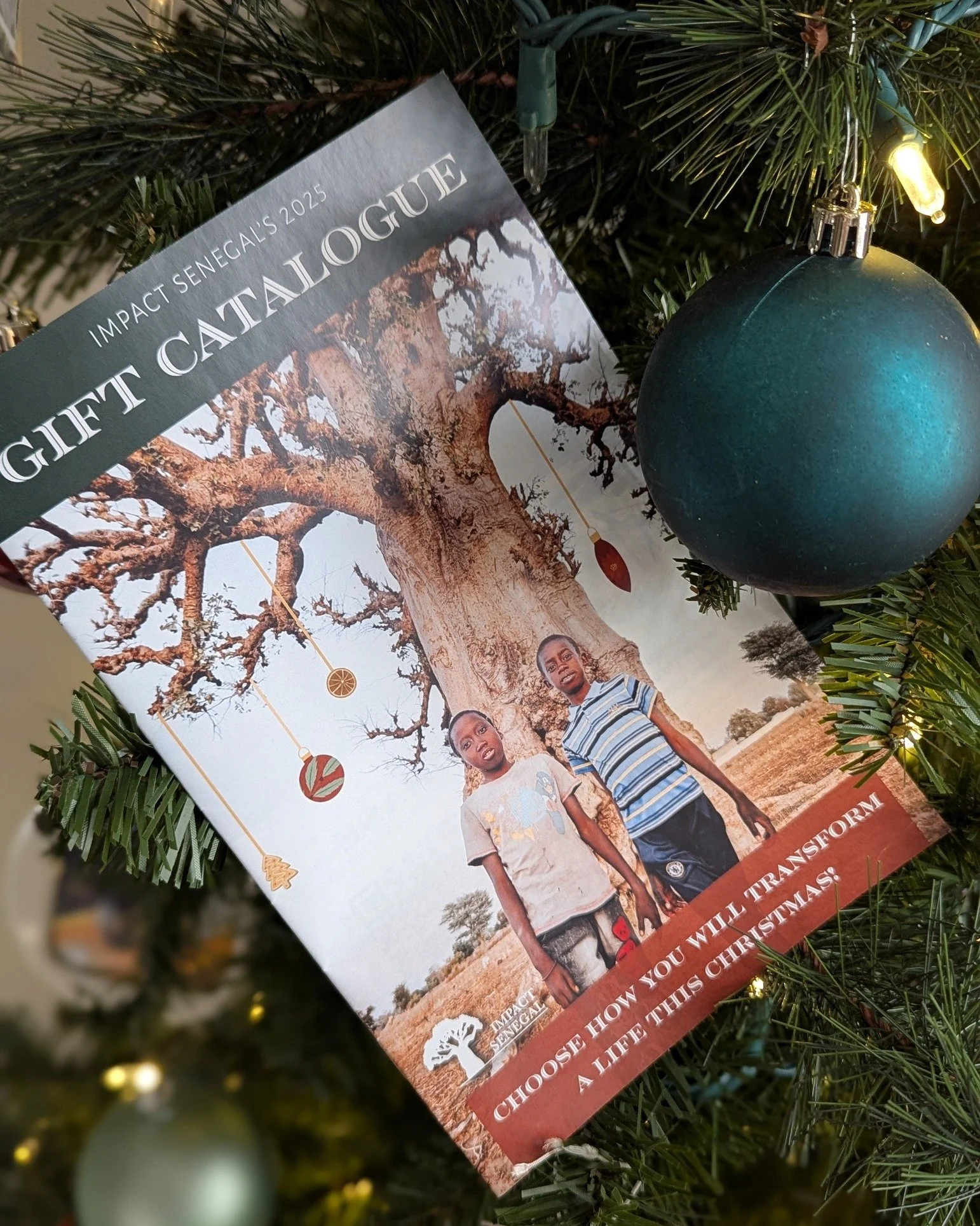 Our first-ever gift catalogue is HERE! Give a year-end gift that truly makes a difference. Every item in our catalogue supports real people, real needs, and real change. 🎁❤️

Browse, choose, and give with purpose this holiday season. 

https://www.i