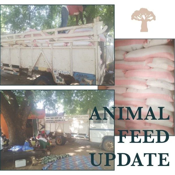 One prong of the Animal Program involves buying animal feed at wholesale prices and reselling it in local villages. The convenience store has only had the feed for a few days, and half the inventory is already gone! 

This initiative does more than s