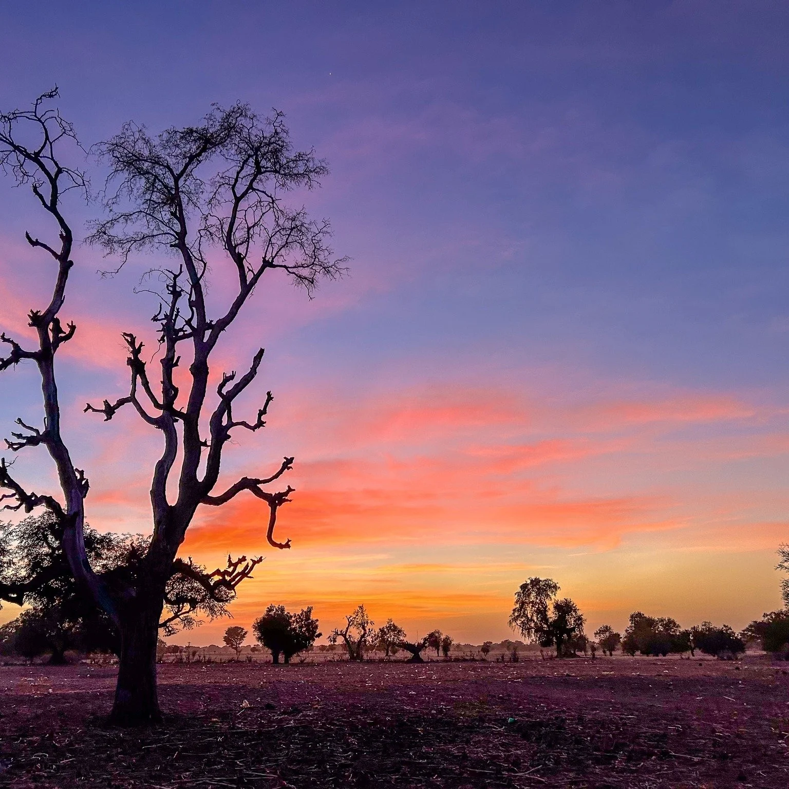Senegal at sunset 🌅

We wanted to share a sweet glimpse into Ngonine at dusk. In those quiet moments at sunset, rural Senegal feels peaceful, sacred, and deeply alive. As you enjoy the sunset at home, we encourage you to pray for those in Ngonine an