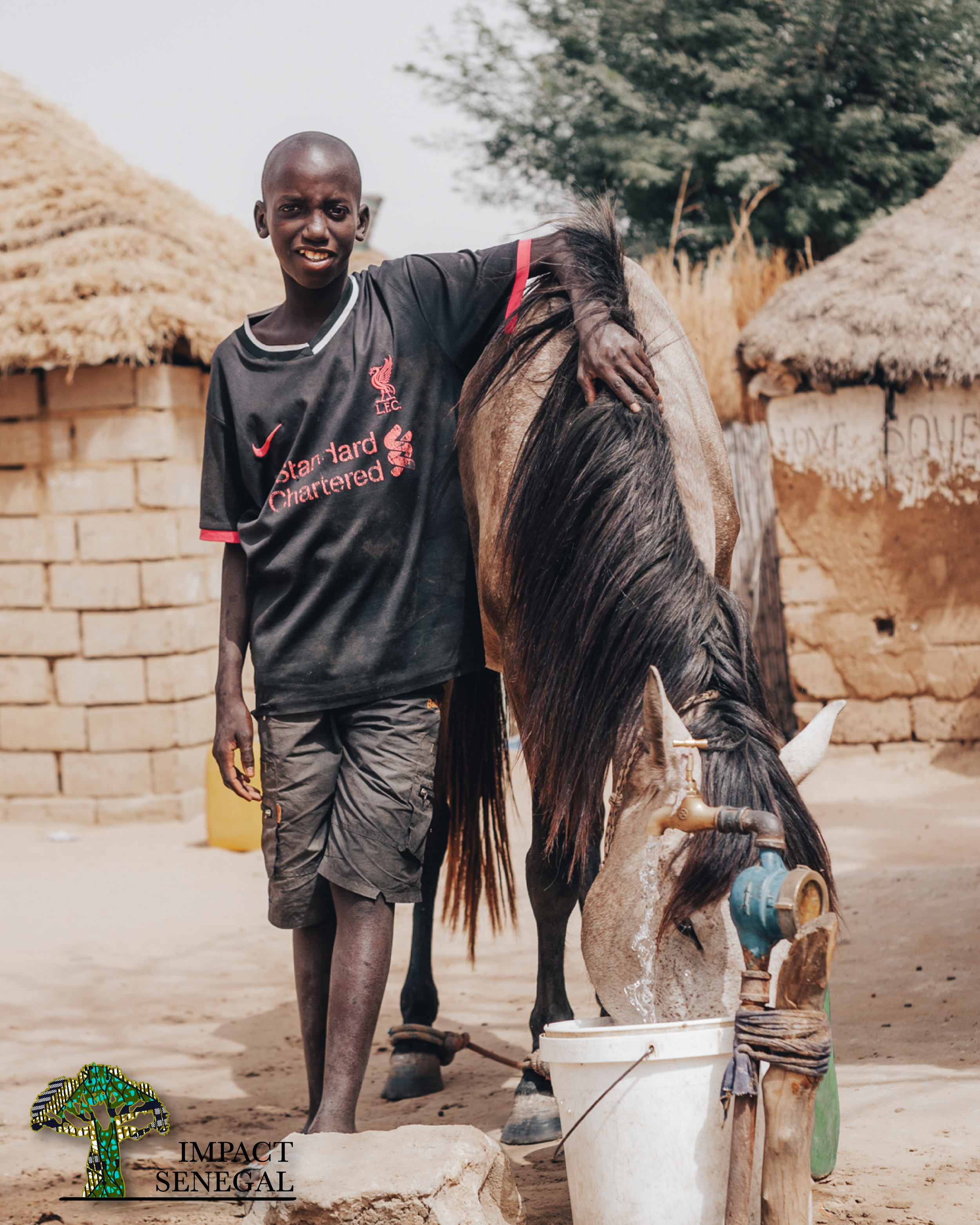 Stock Media Library IS Web-02.png