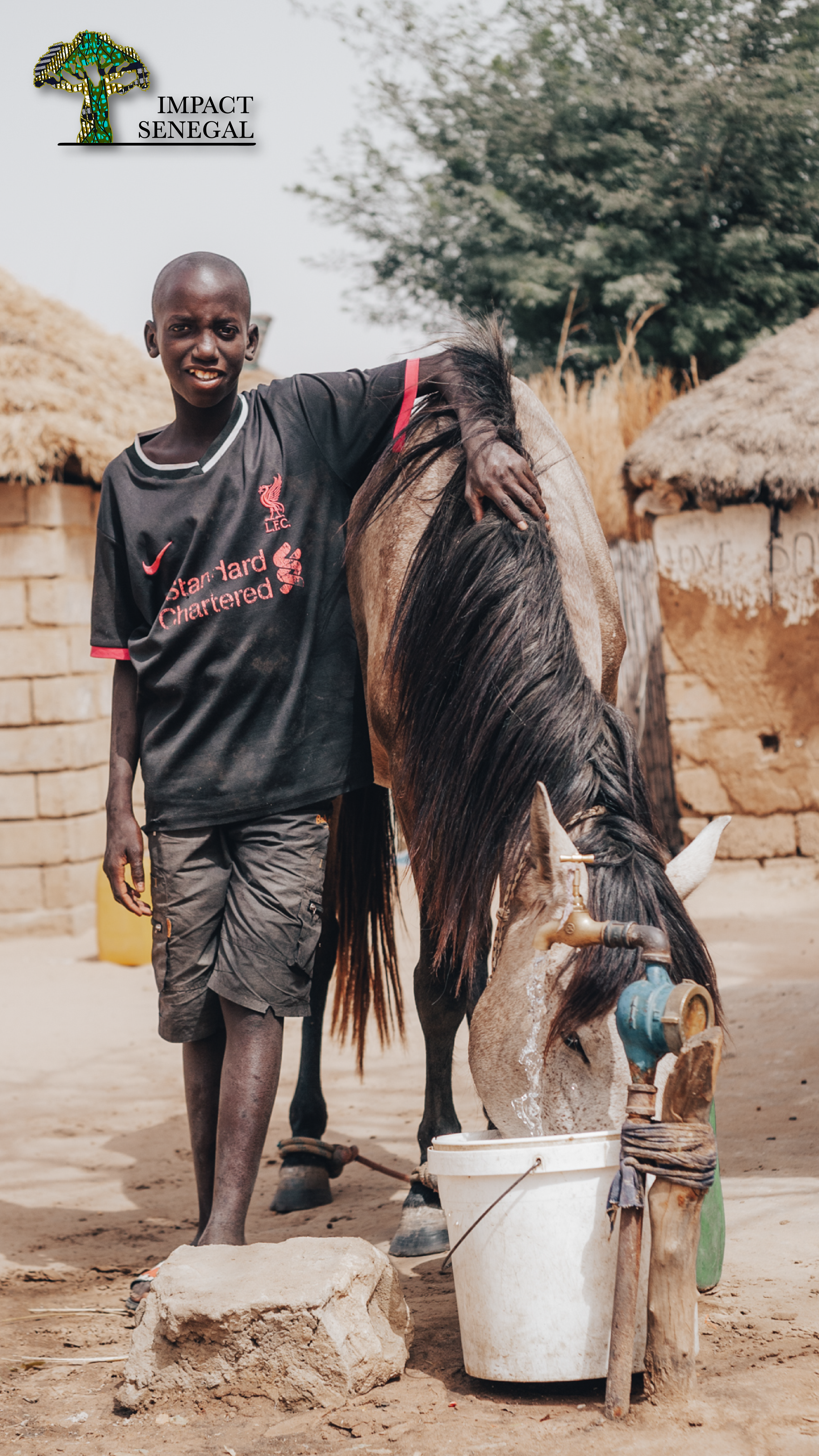 Stock Media Library IS Web-07.png