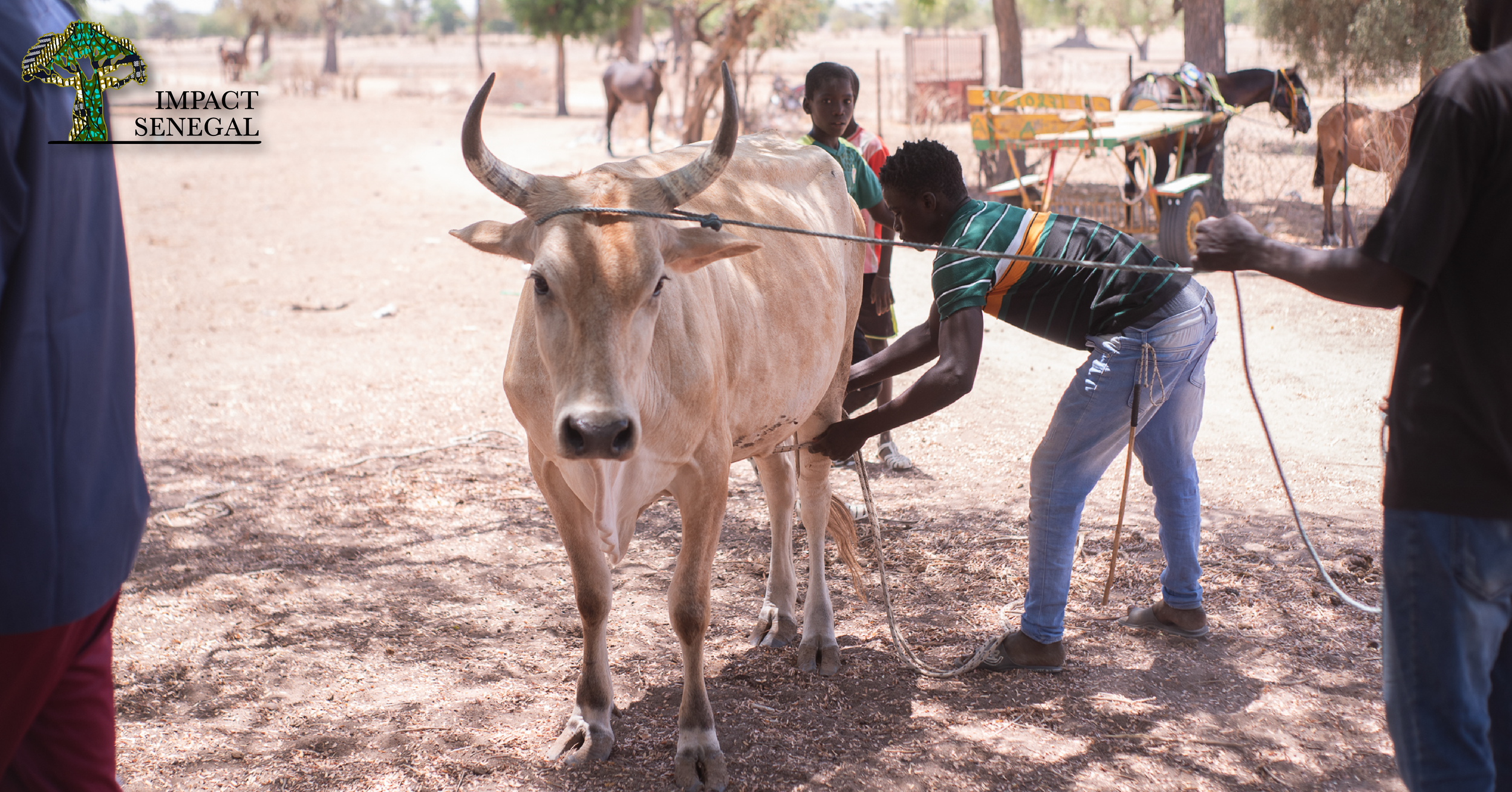 Stock Media Library IS Web-12.png