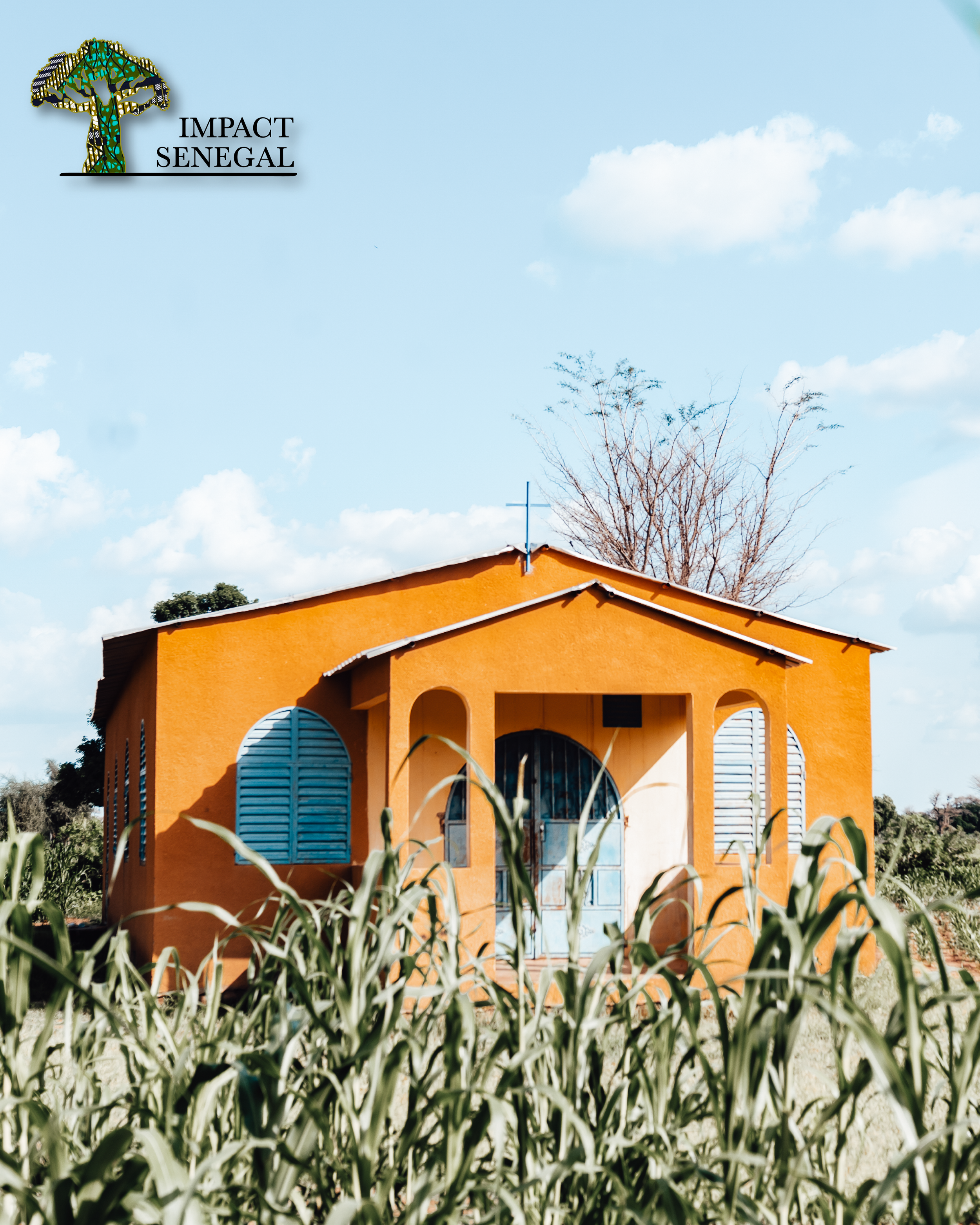 Stock Media Library IS Web-05.png