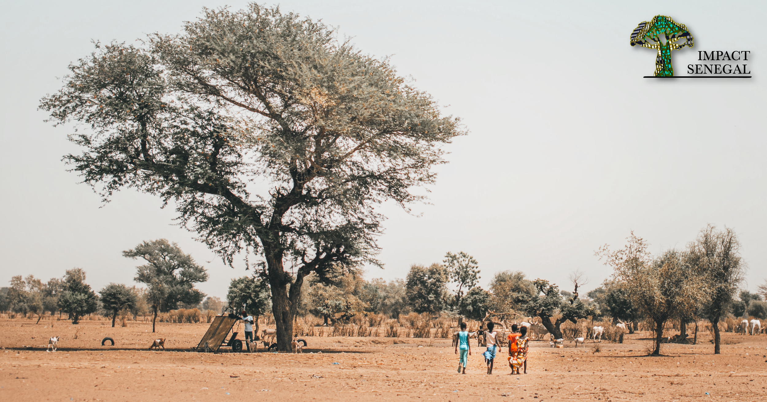 Stock Media Library IS Web-14.png