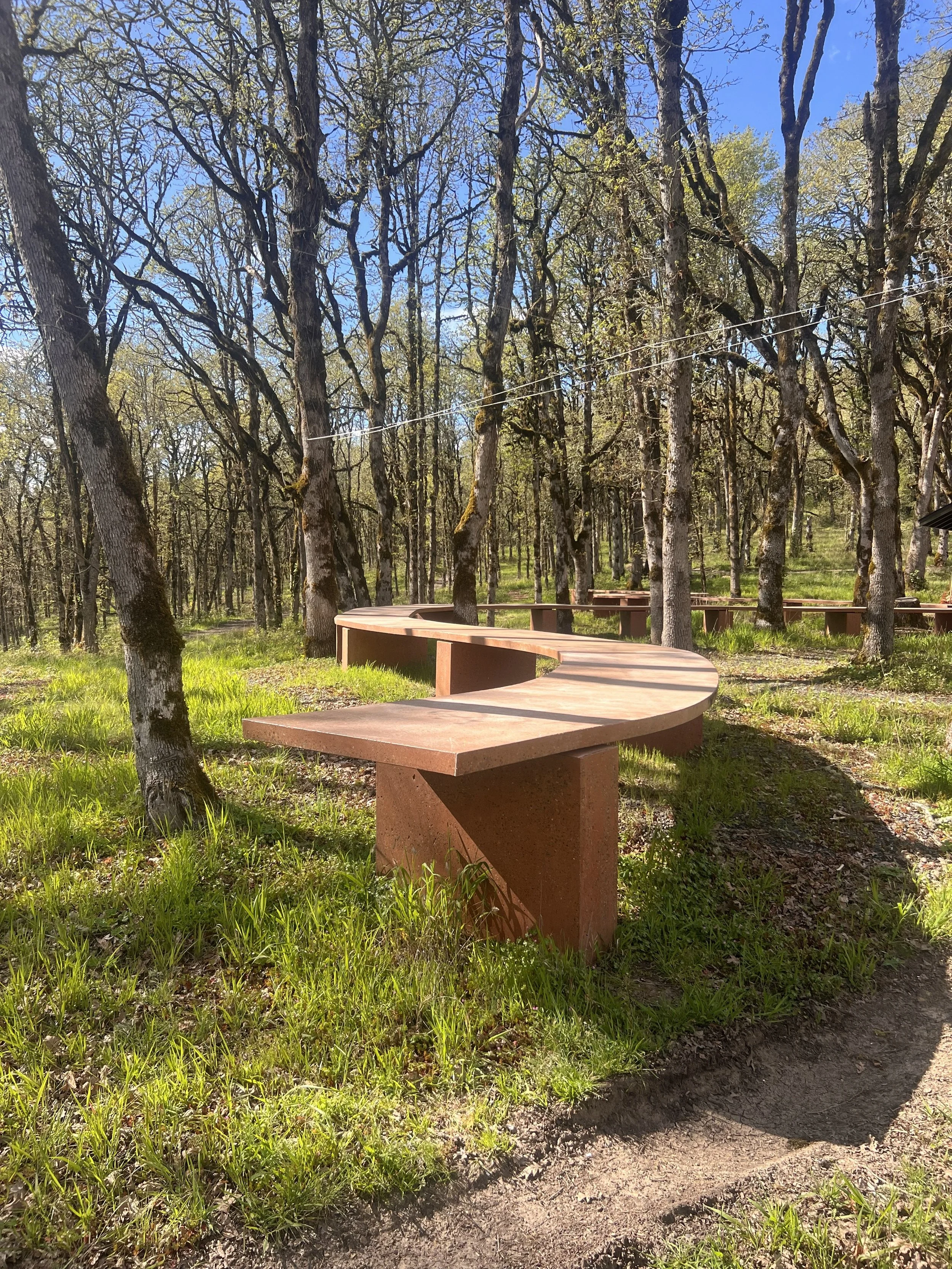 red ribbon table.jpg