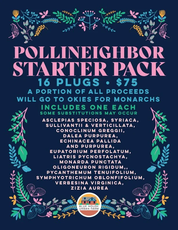 PollineighborStarterPack.jpg
