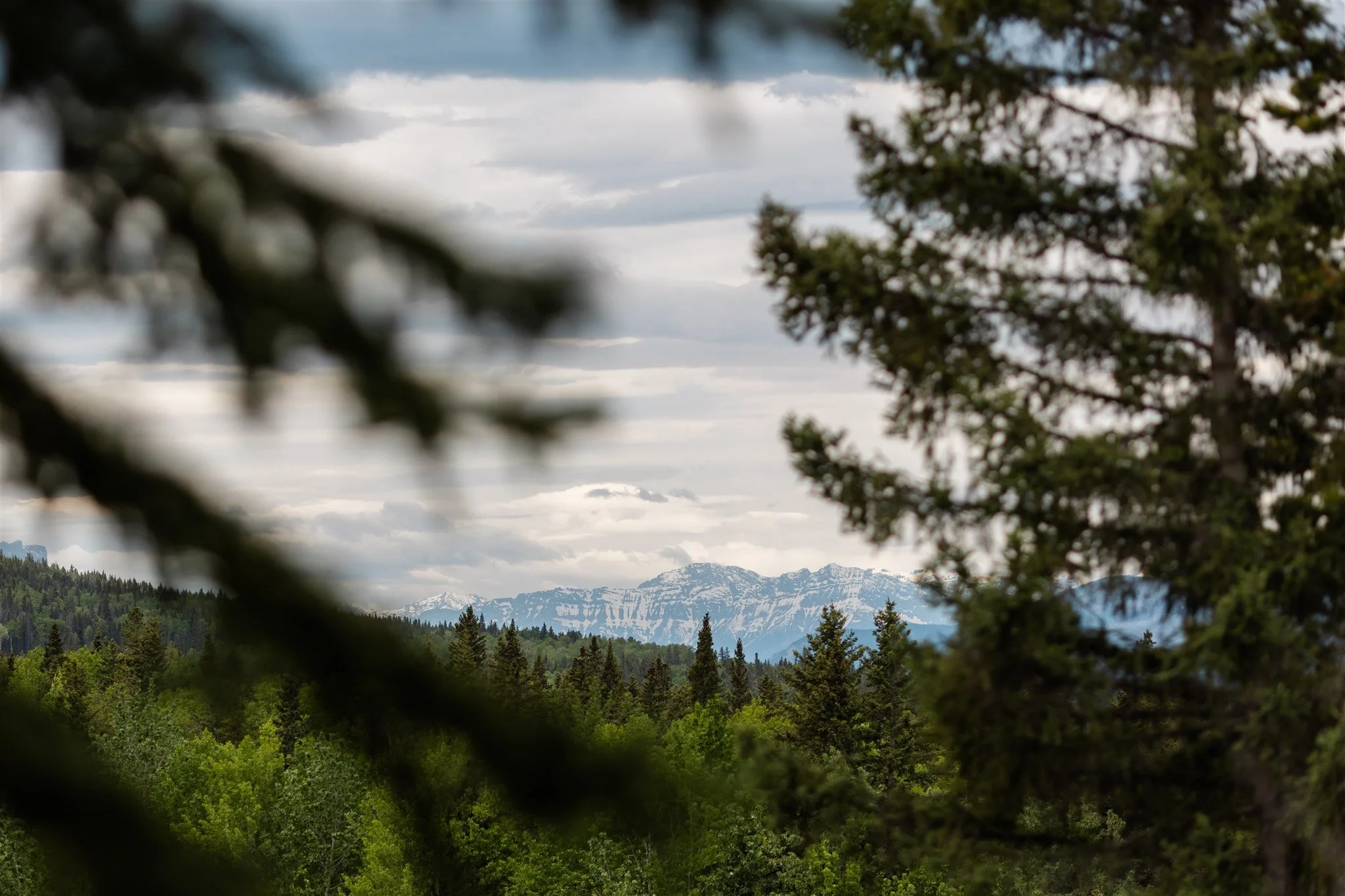 We Have A Winner For Our Spring Photo Contest!