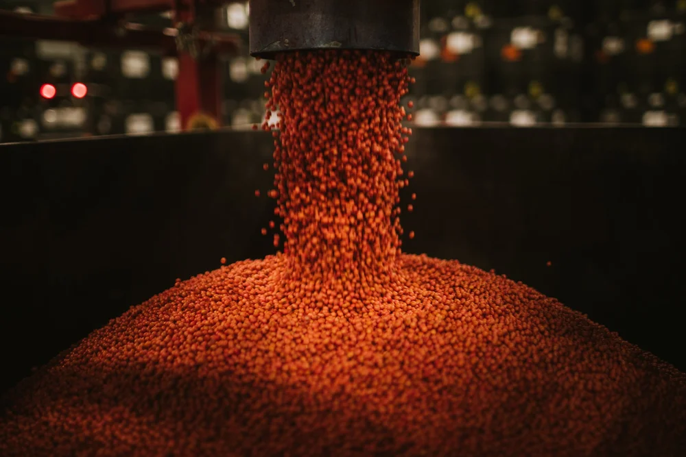 Our Team — Seed Life LLC