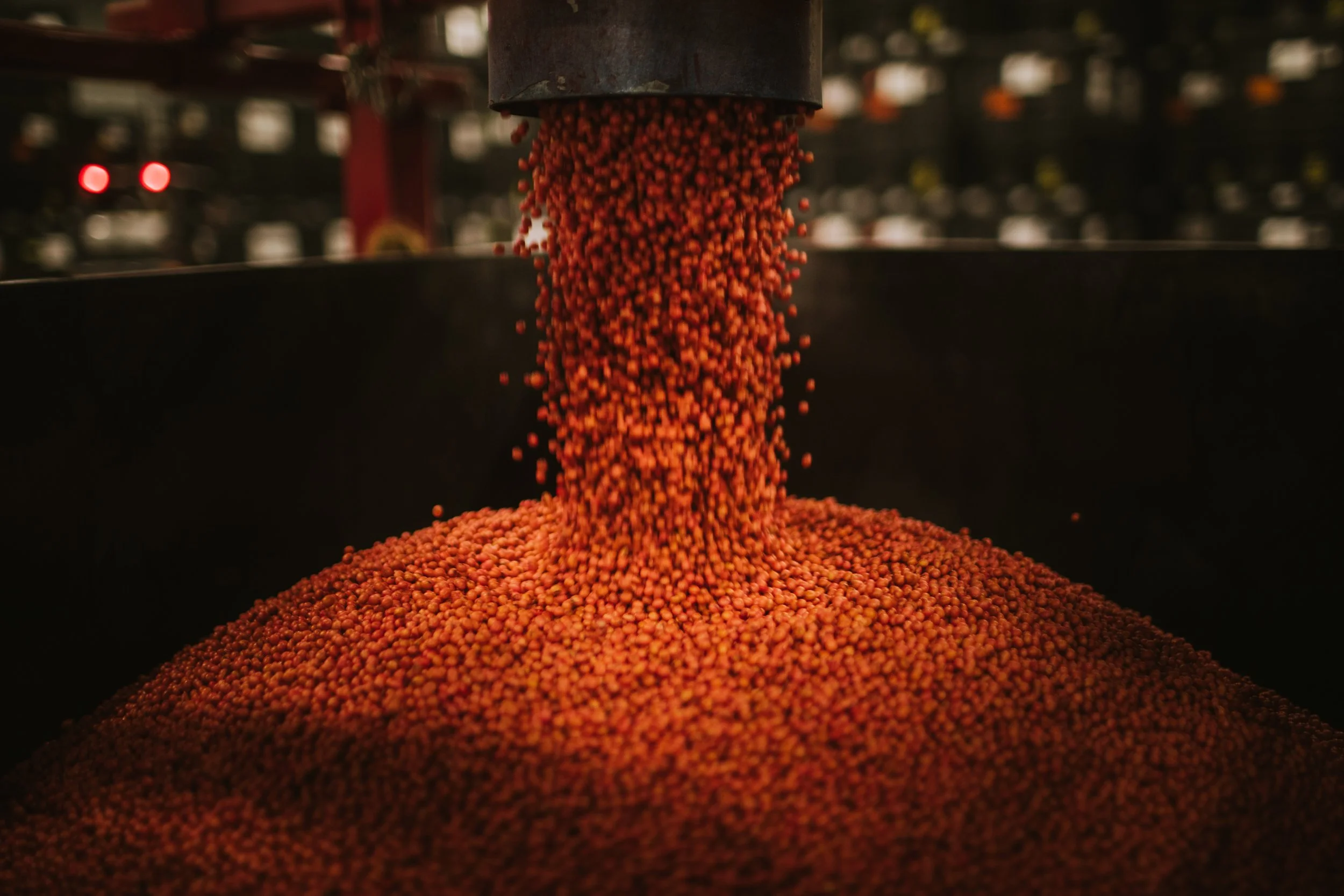 Our Team — Seed Life LLC