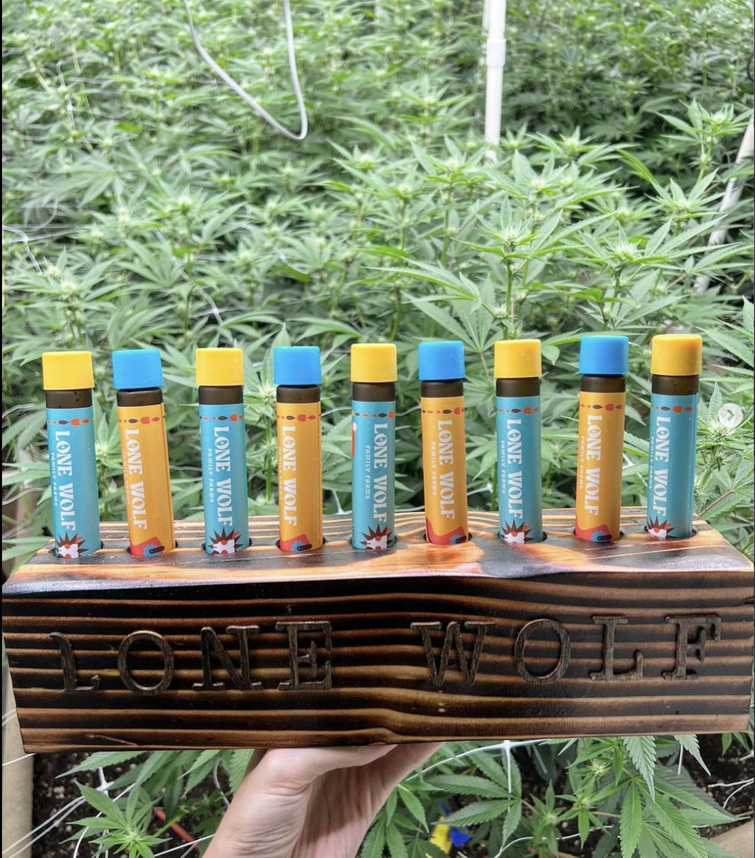 Pre-Roll Display.png