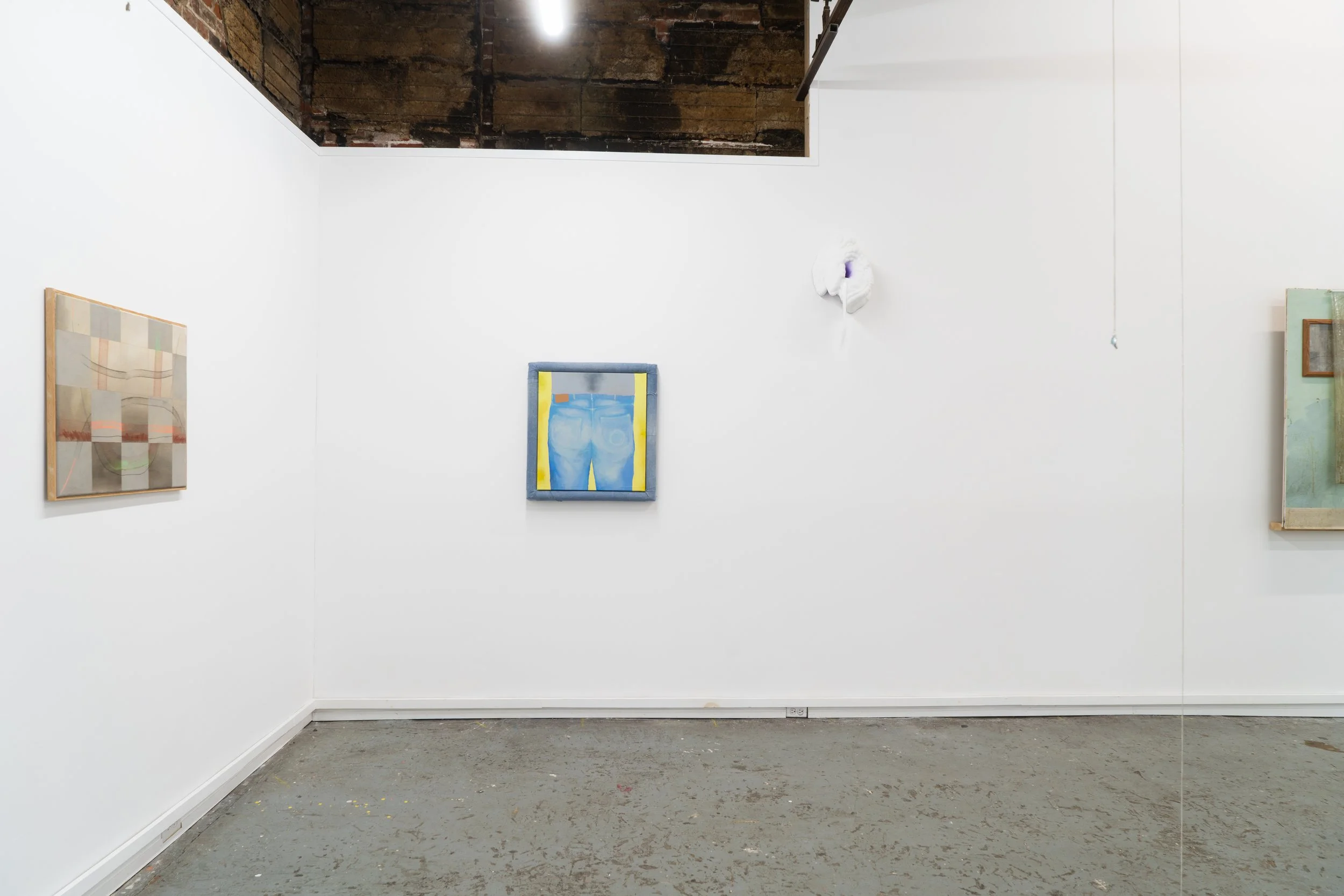 Installation of Butt outgrow the rings of days a-younger, 2024, Acrylic on Canvas in Denim Frame, 25" x 27" at The Buffalo Institute for Contemporary Art