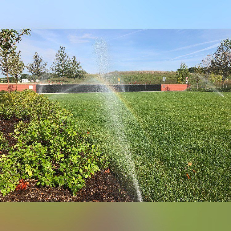 Beautiful Landscape with a great Irrigation System and a Rainbow 

#beautifullandscapes #beautiful #landscape #lawn #plants #irrigation #sprinkler #lawnsprinklers #rainbow