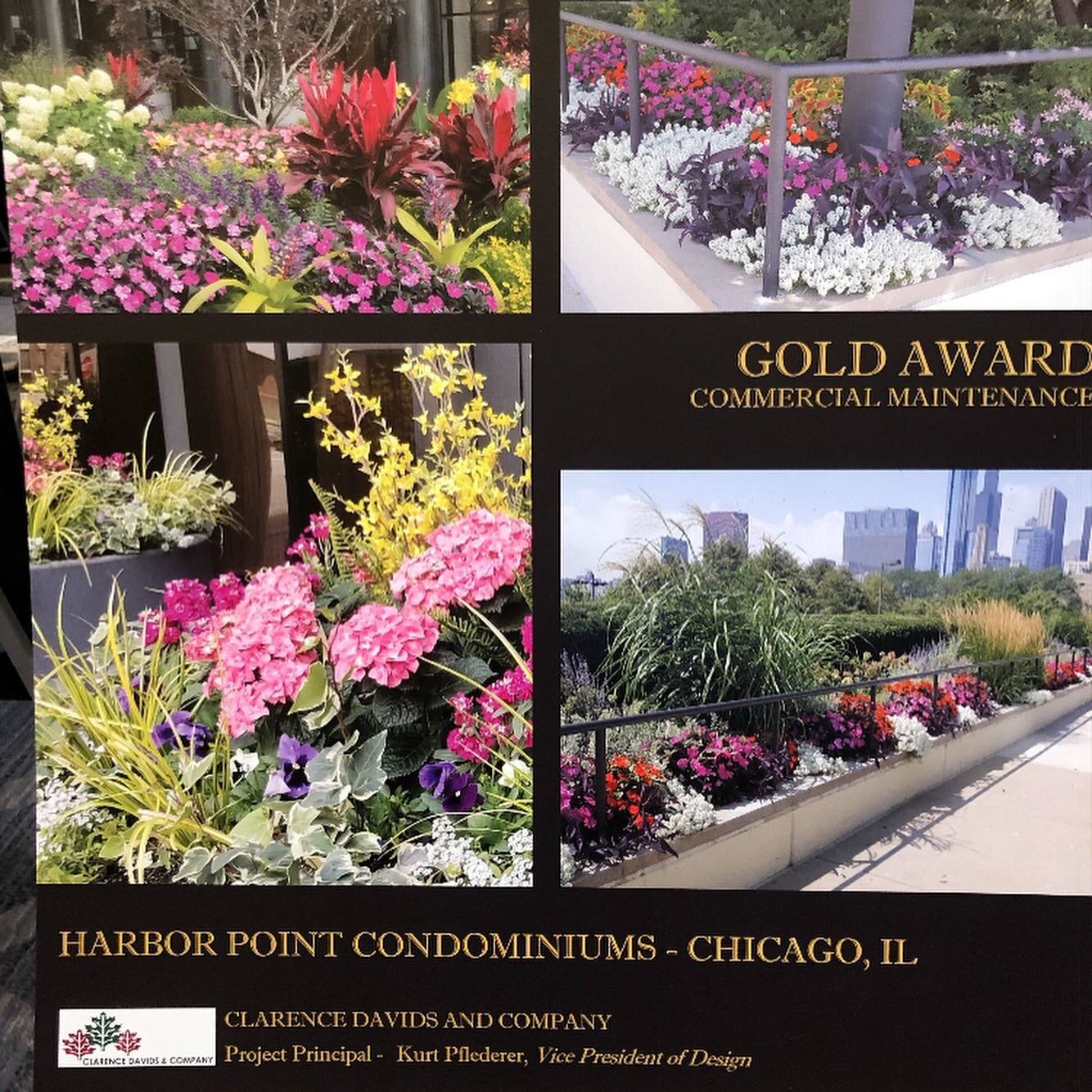 A few of the award winning projects we took part in from the iLandscape show 
#ilandscape #ilandscape2020 #ilca #illinois #wisconsin #greenindustry #landscape #landscapedesign #silveraward #goldaward #project