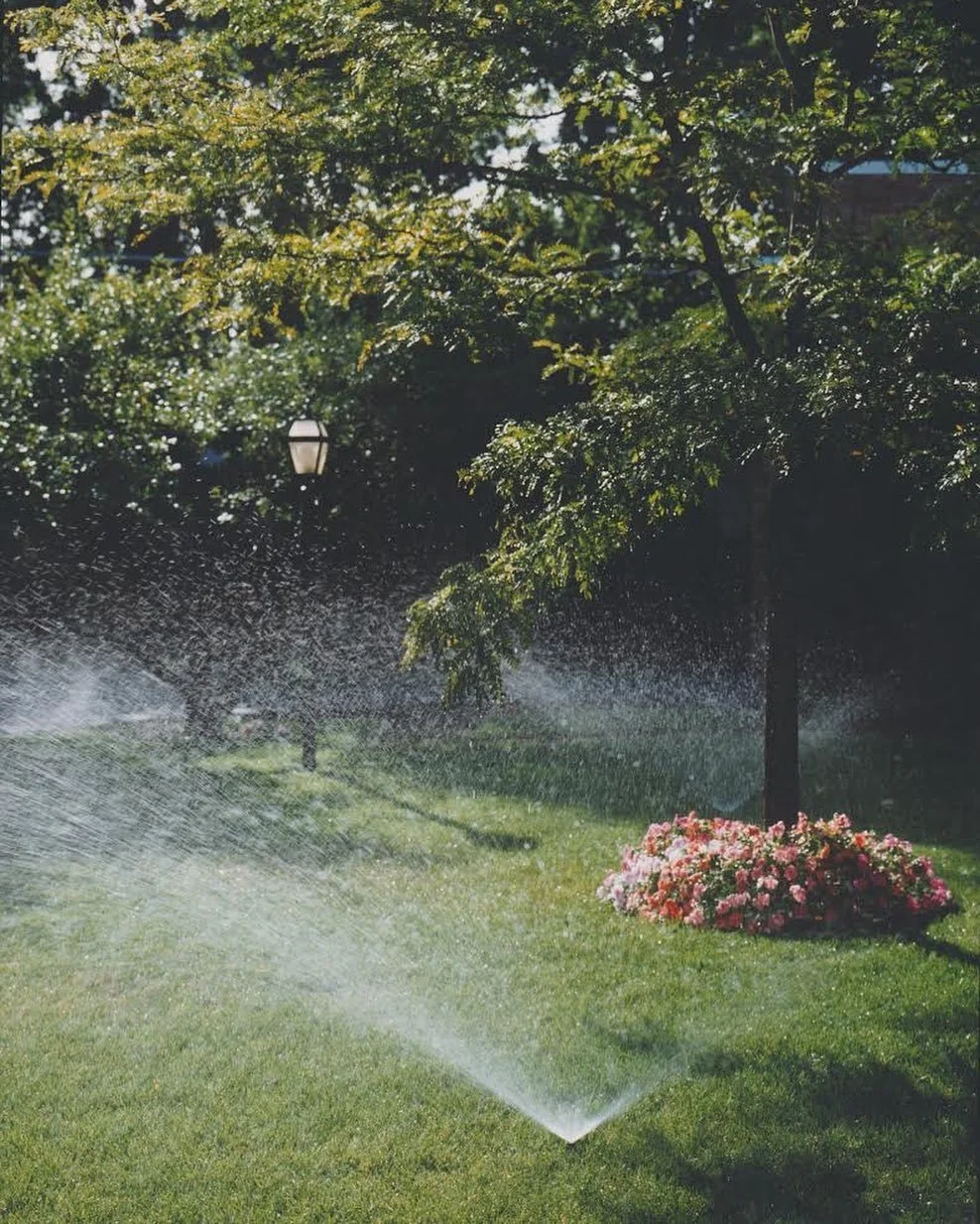 Since 1967, we have offered Residential Irrigation Systems to help your lawn and garden thrive throughout the Chicago summers.

Beyond Designing, Installing, Maintaining, &amp;&nbsp;Repairing;&nbsp;we offer various services that will allow your green