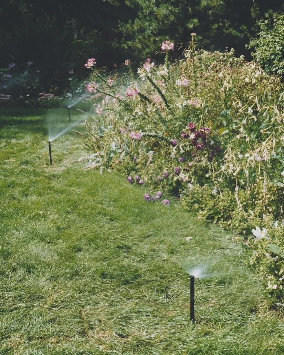 Keep your lawn and garden flourishing this August with underground sprinklers. 

Pop-up sprinkler heads can be installed and programmed to operate at a time of your choice; so they will only appear when you want them to! Perfect for high-traffic area