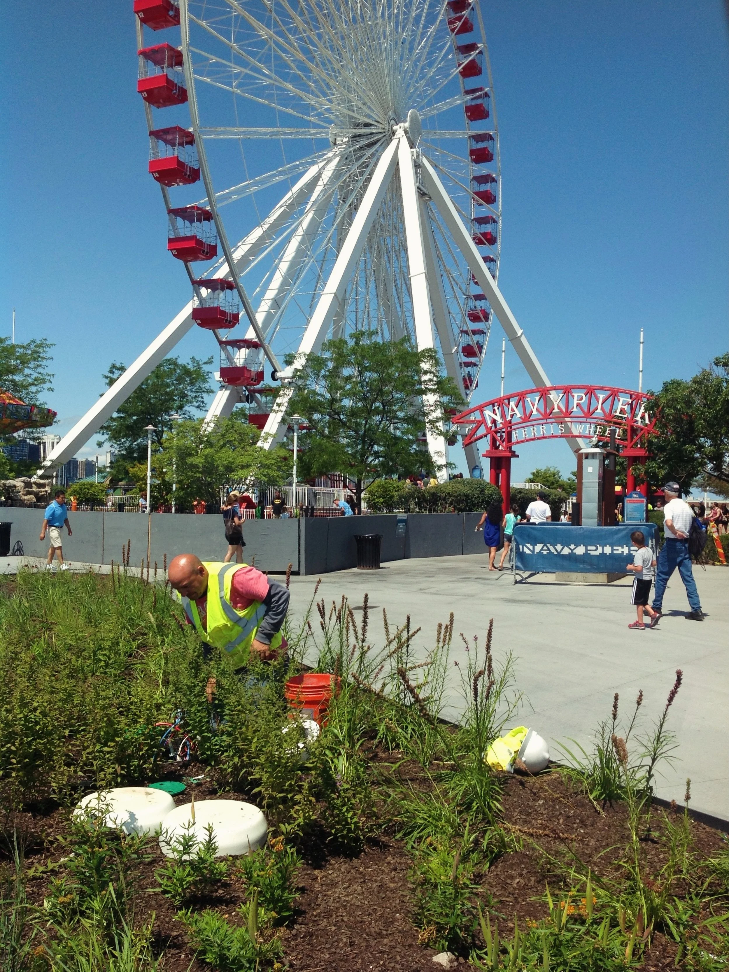 Happy 250th Independence Day! 🇺🇸
&nbsp;
We hope everyone has a wonderful and safe holiday this weekend! Make sure to catch the fireworks at Navy Pier to celebrate all who have made and continue to make this land great.
&nbsp;
Also, check out the ar