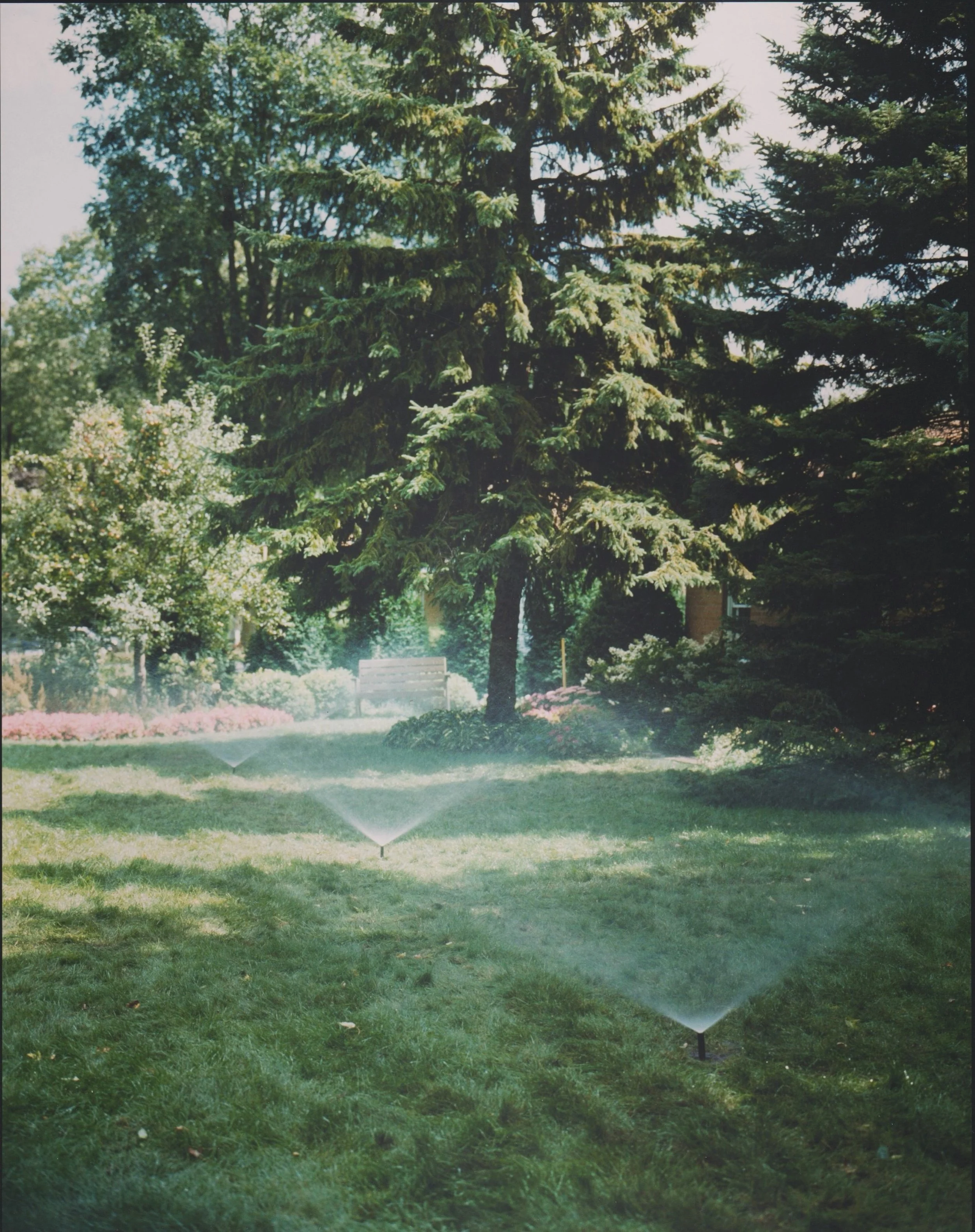 Wishing summer a fond farewell and fall a warm welcome! 🍁

As summer fades away and the leaves begin to fall, we encourage everyone to reflect on their past summers and admire the many memories that have grown in their gardens.

Fond memories grow a
