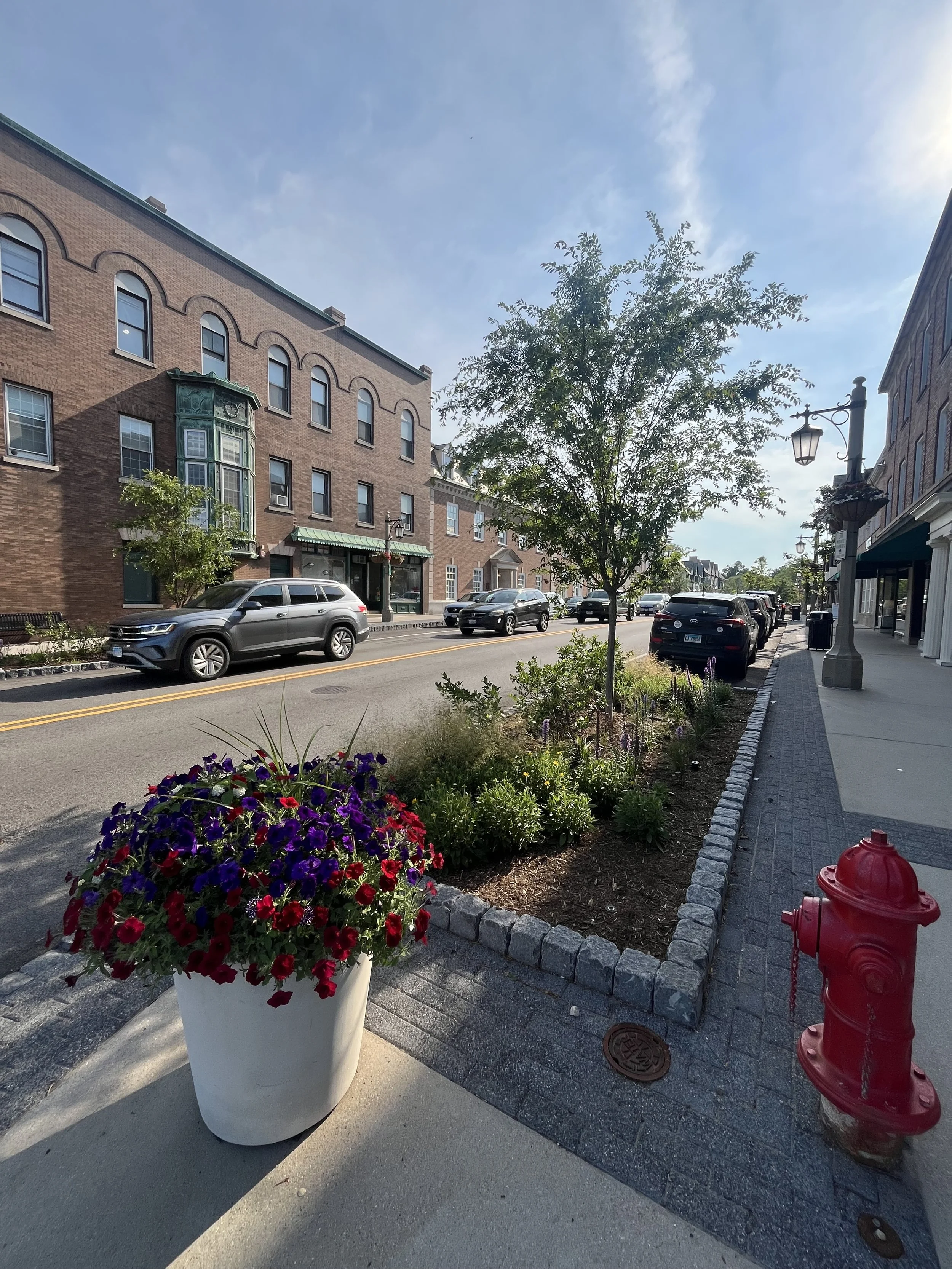 Halloran & Yauch Irrigation Systems, Deerpath Road Lake Forest Illinois Sprinklers  (29).jpeg