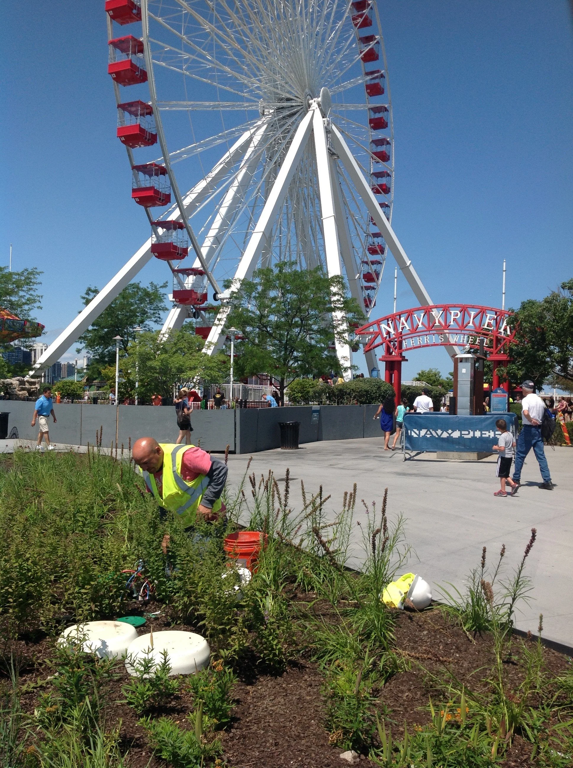 Halloran & Yauch Irrigation, Chicago Navy Pier.jpg
