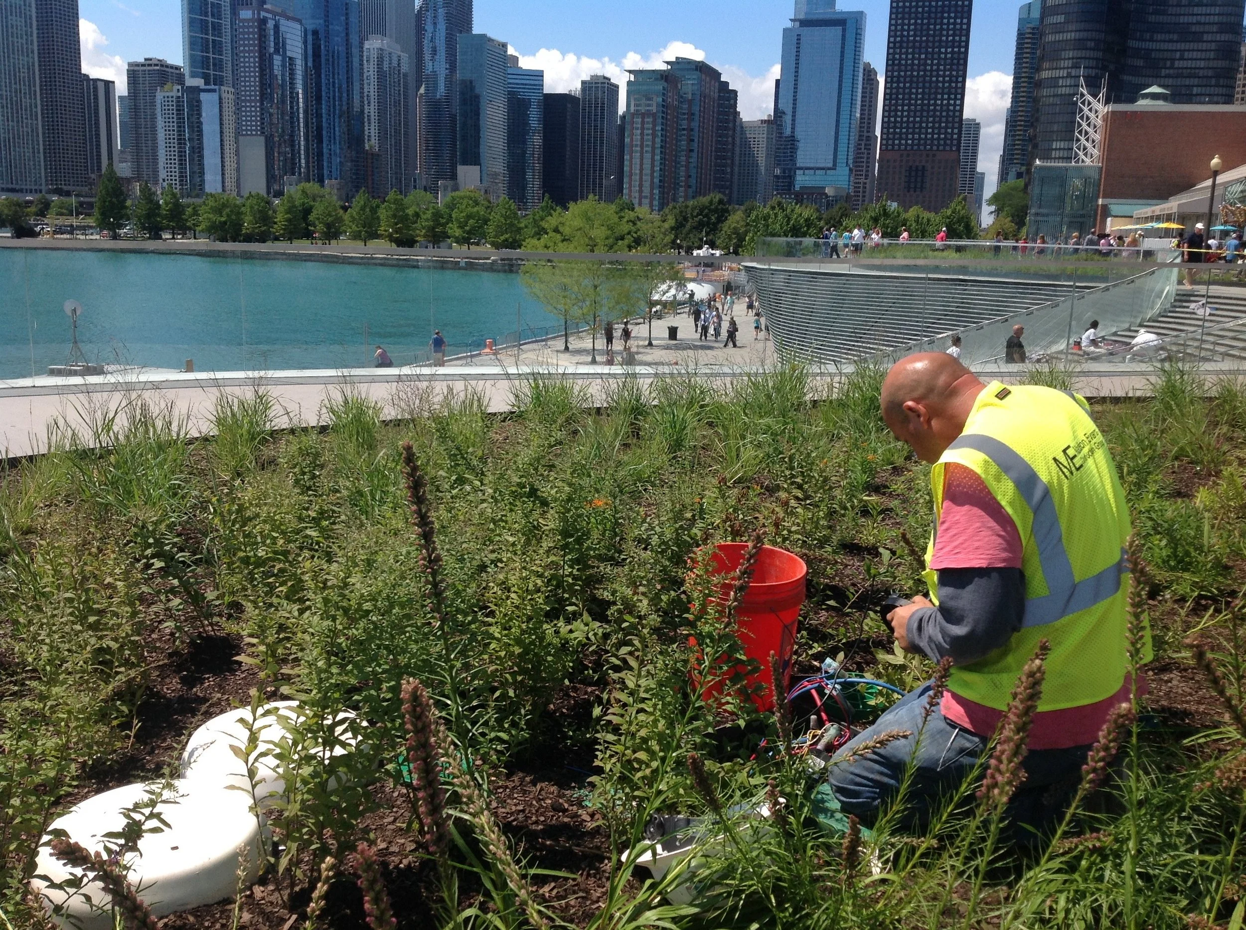 Halloran & Yauch Irrigation, Chicago Navy Pier Drip Maintanance.jpg