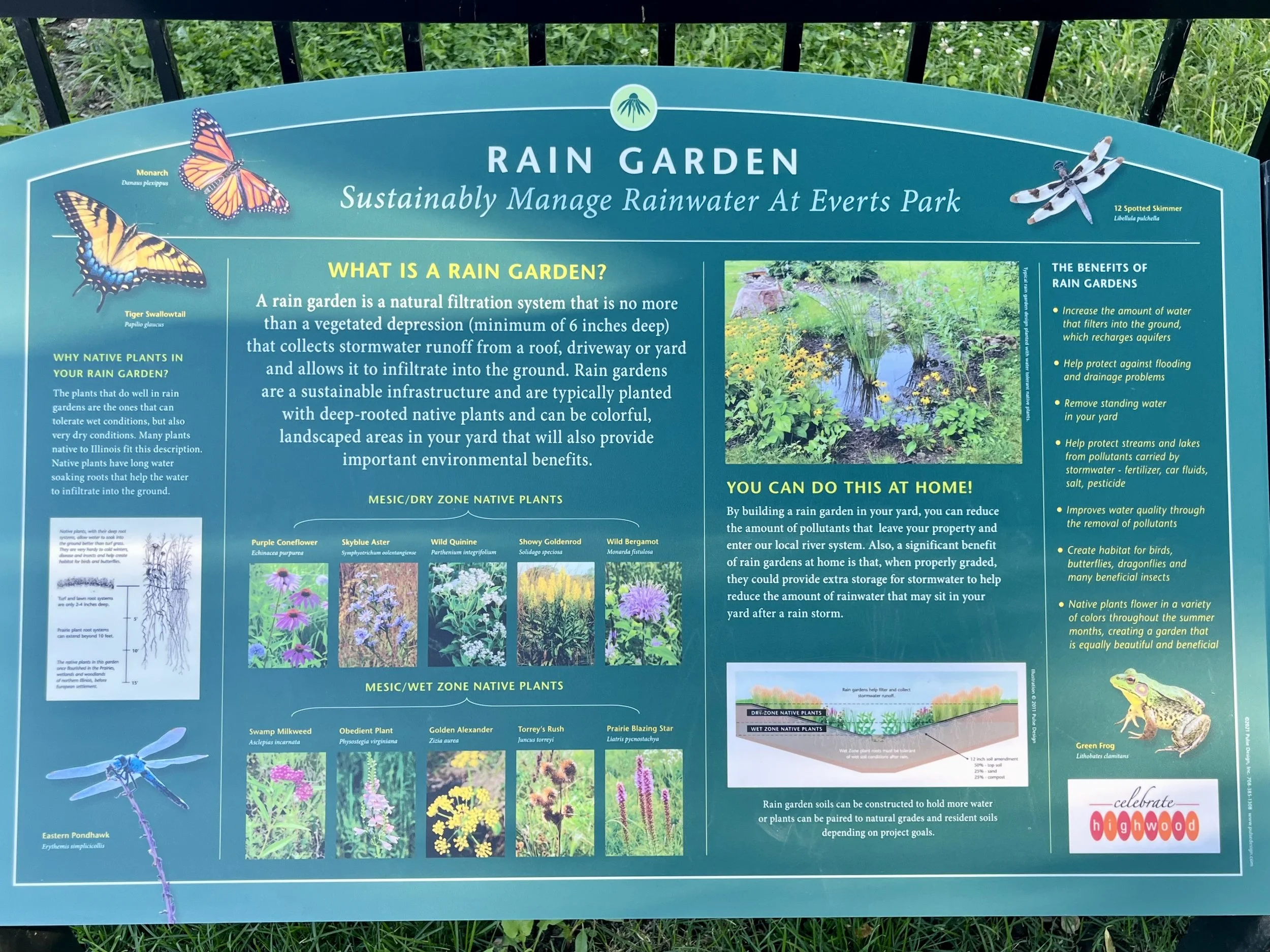 Halloran & Yauch Rain Garden Everts Park Highwood IL.jpg