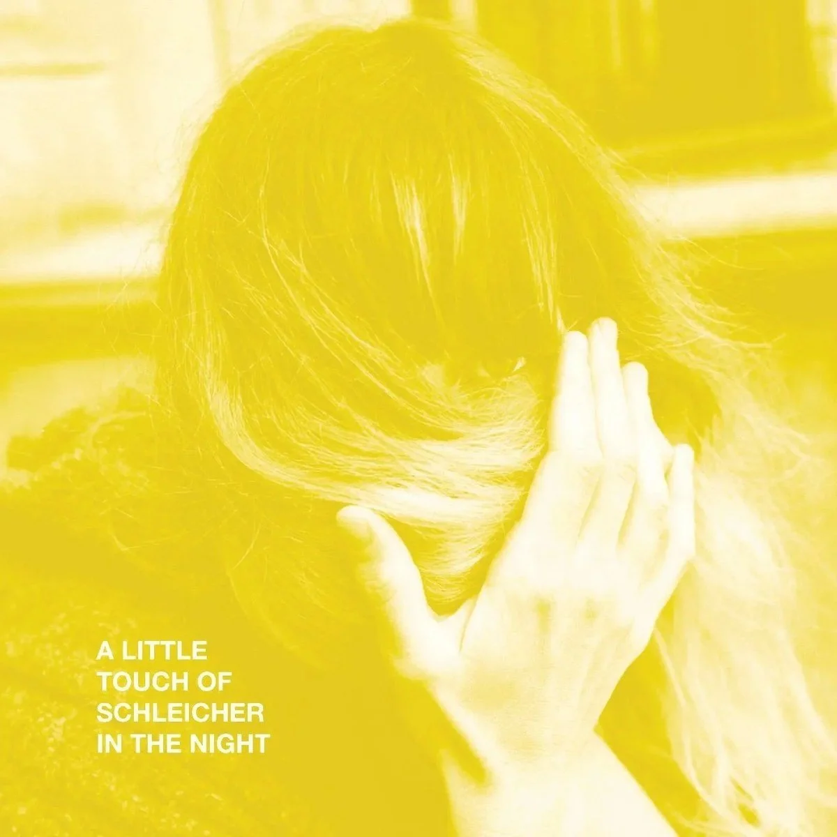 A Little Touch of Schleicher in the Night by Katie Von Schleicher

engineering
saxophone
clarinet
synth