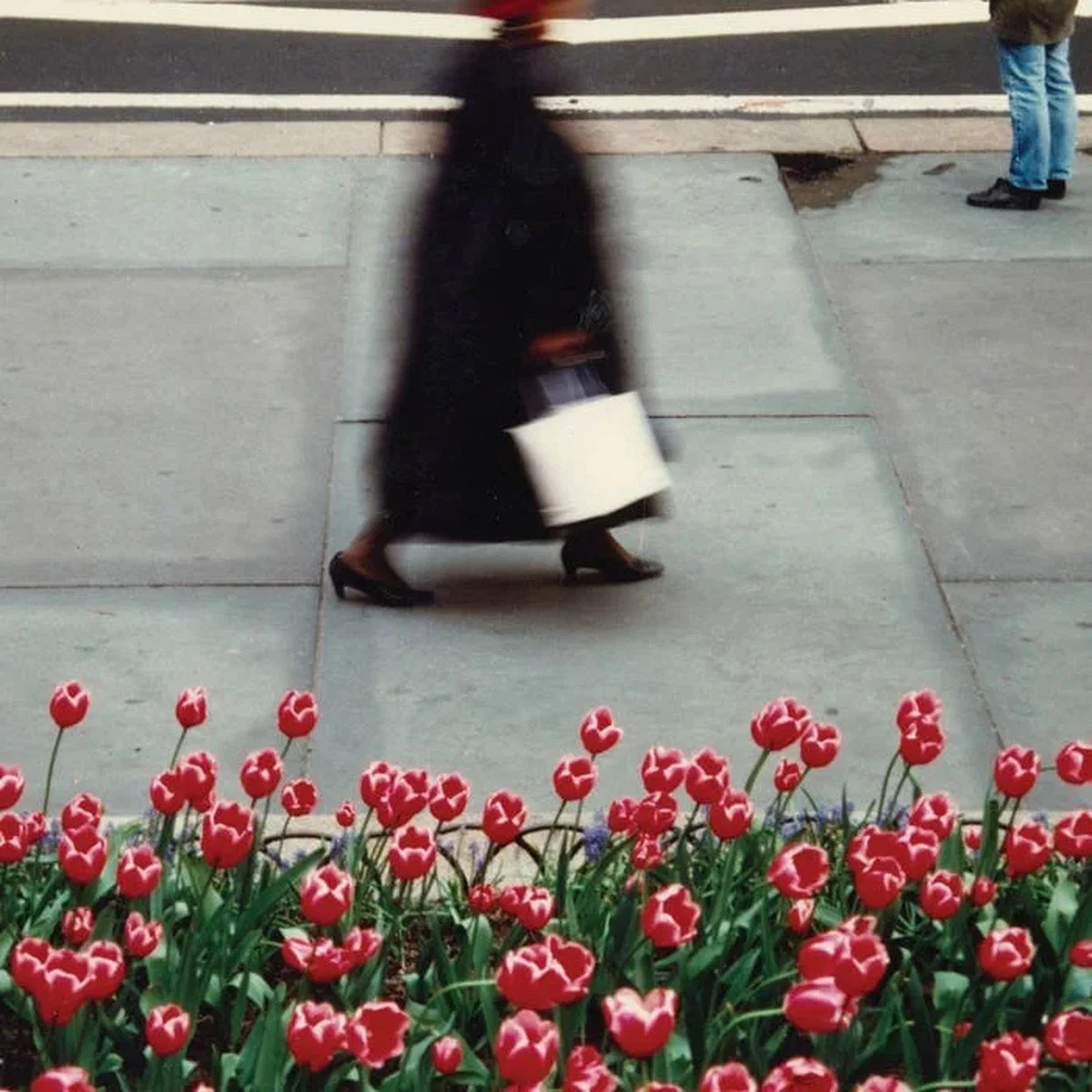 tulips-sidewalk.jpg