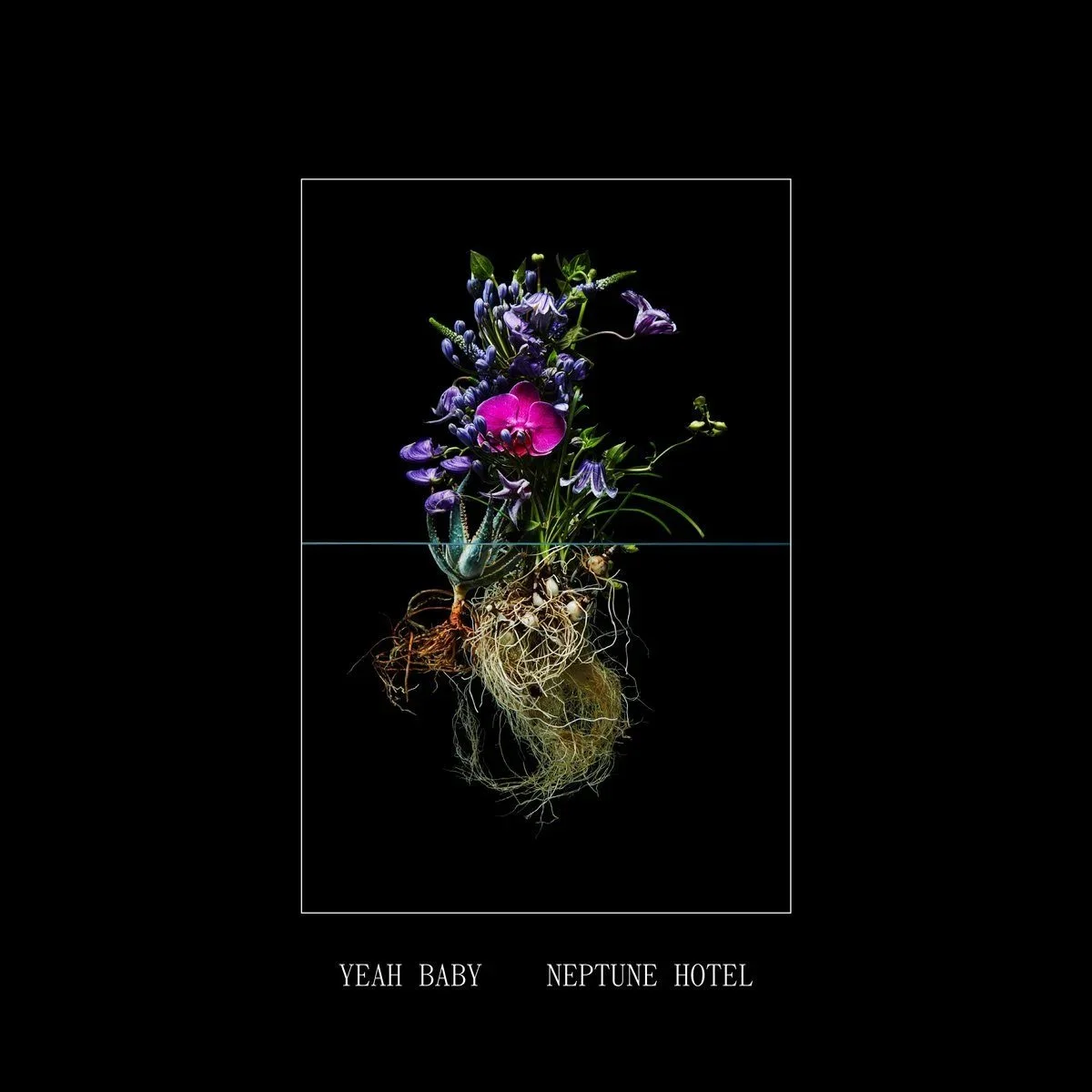 neptune-hotel-yeah-baby.jpg