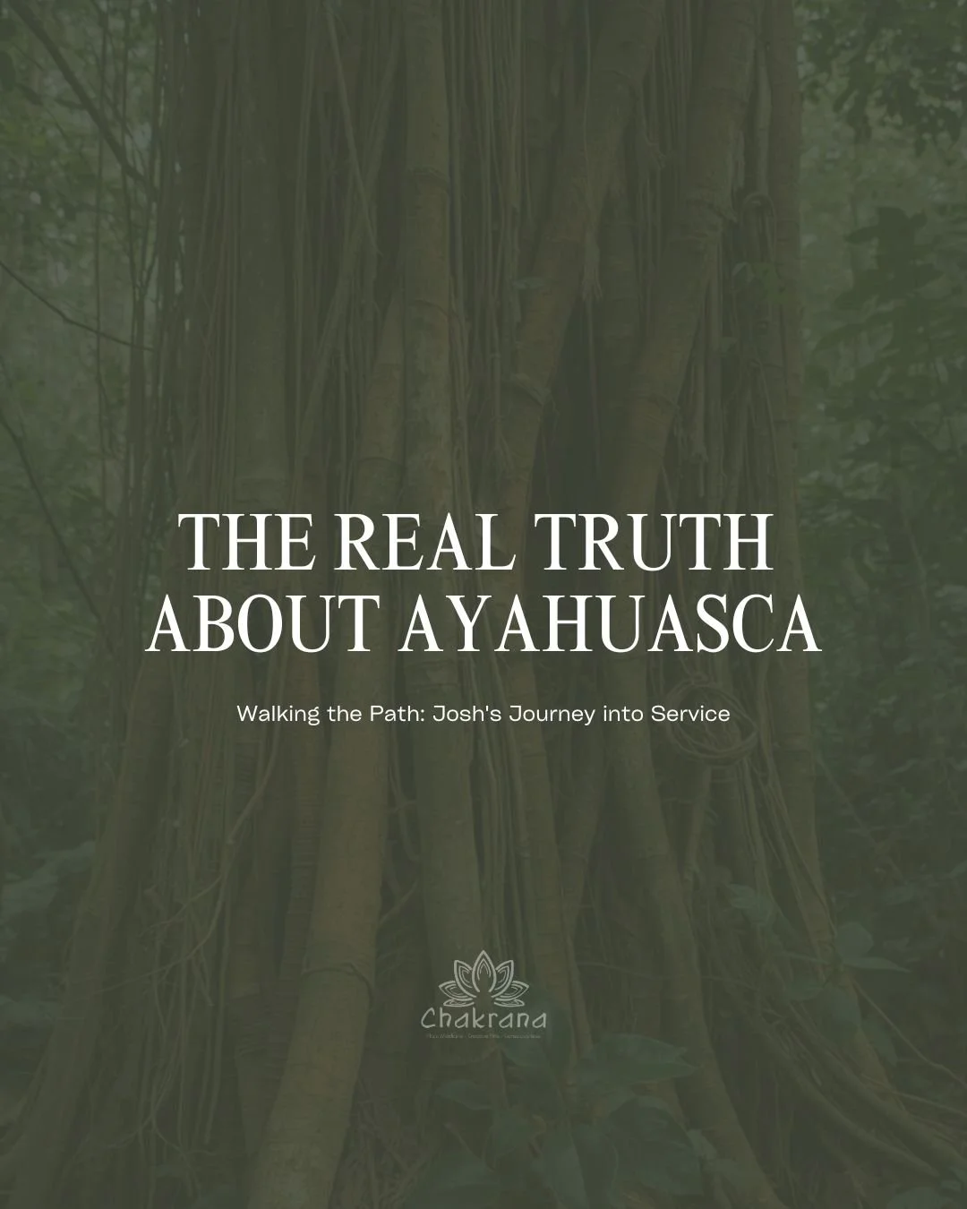 The Real Truth About Ayahuasca: Josh's Journey into Service