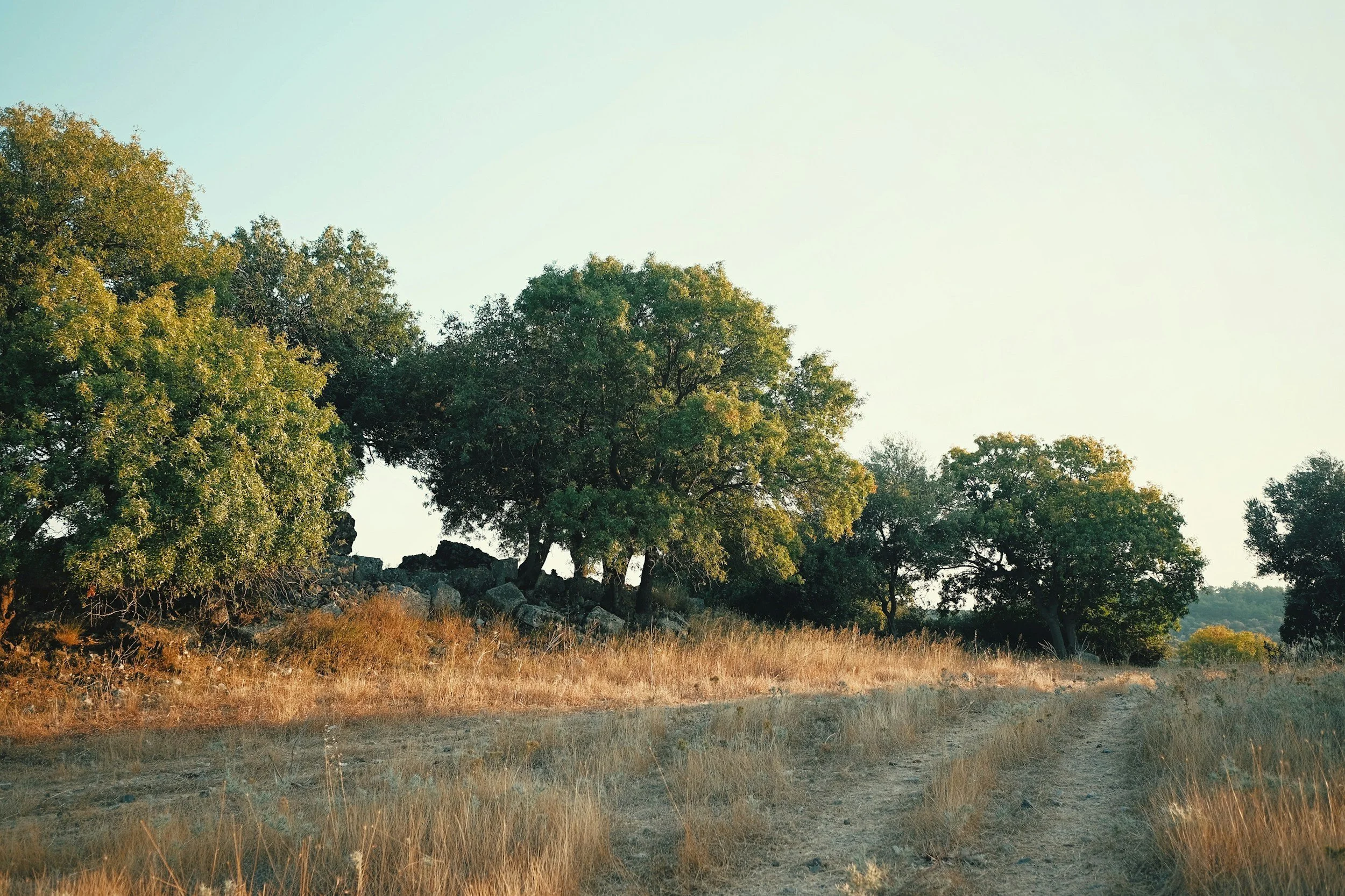 What Is an ALTA Land Title Survey and Why Do Lenders Require It?