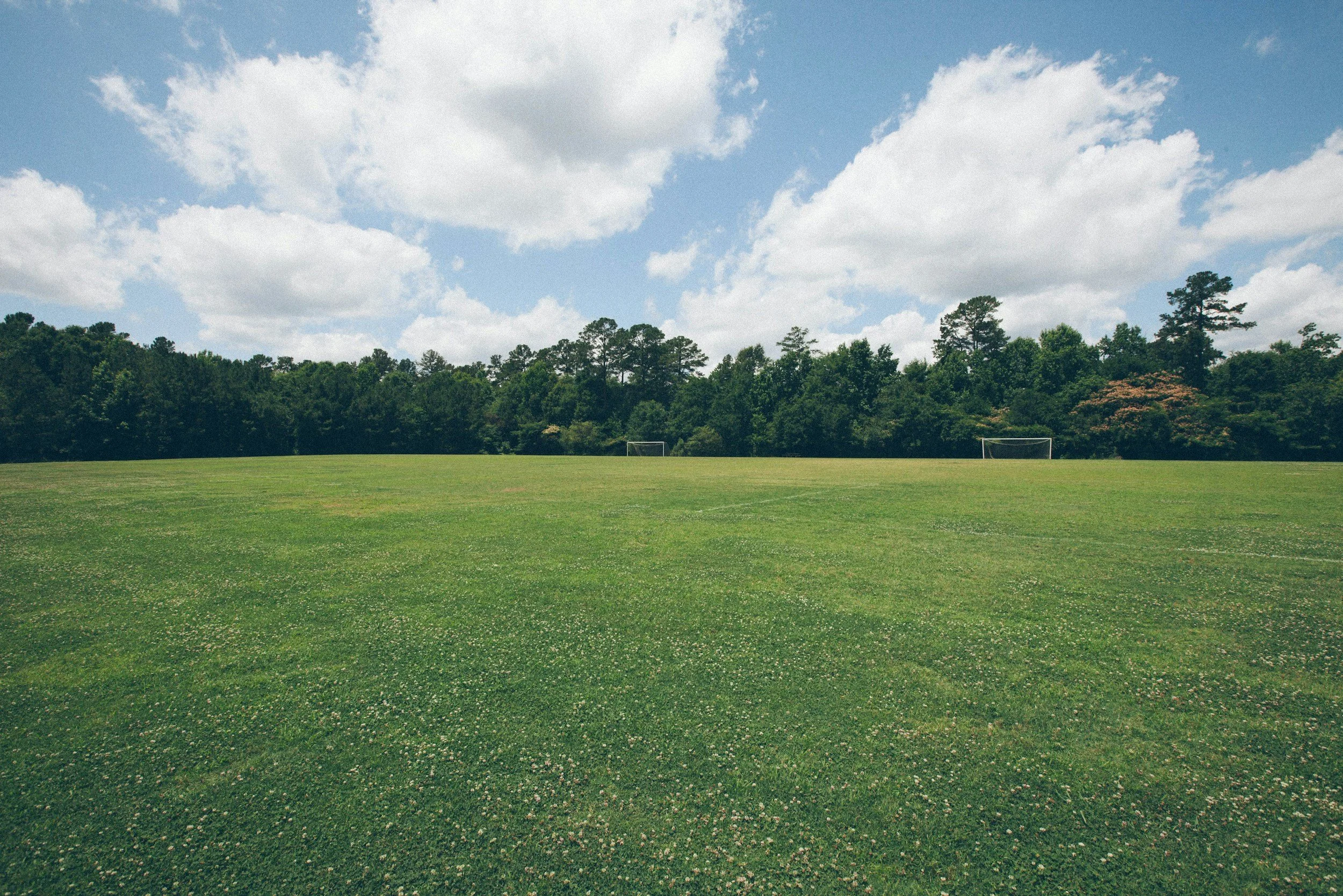 What Is an ALTA Land Title Survey and When Do You Need One?