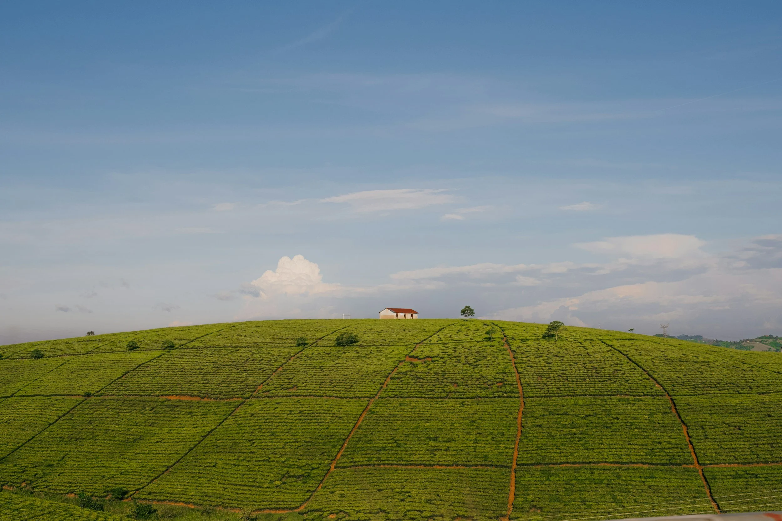 ALTA/NSPS Land Title Survey Requirements for Buyers and Lenders