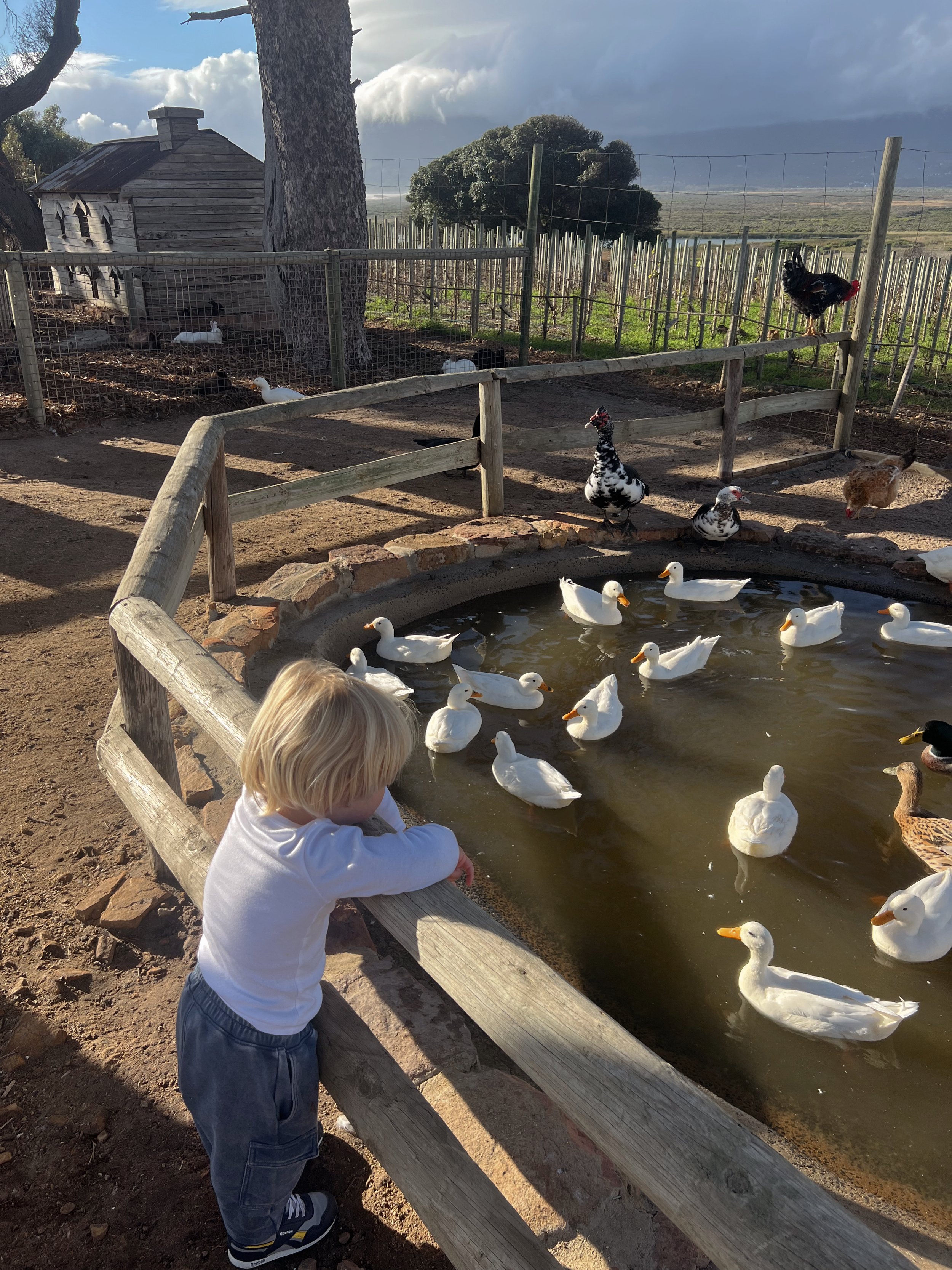 Is 3 months too early to sleep train?