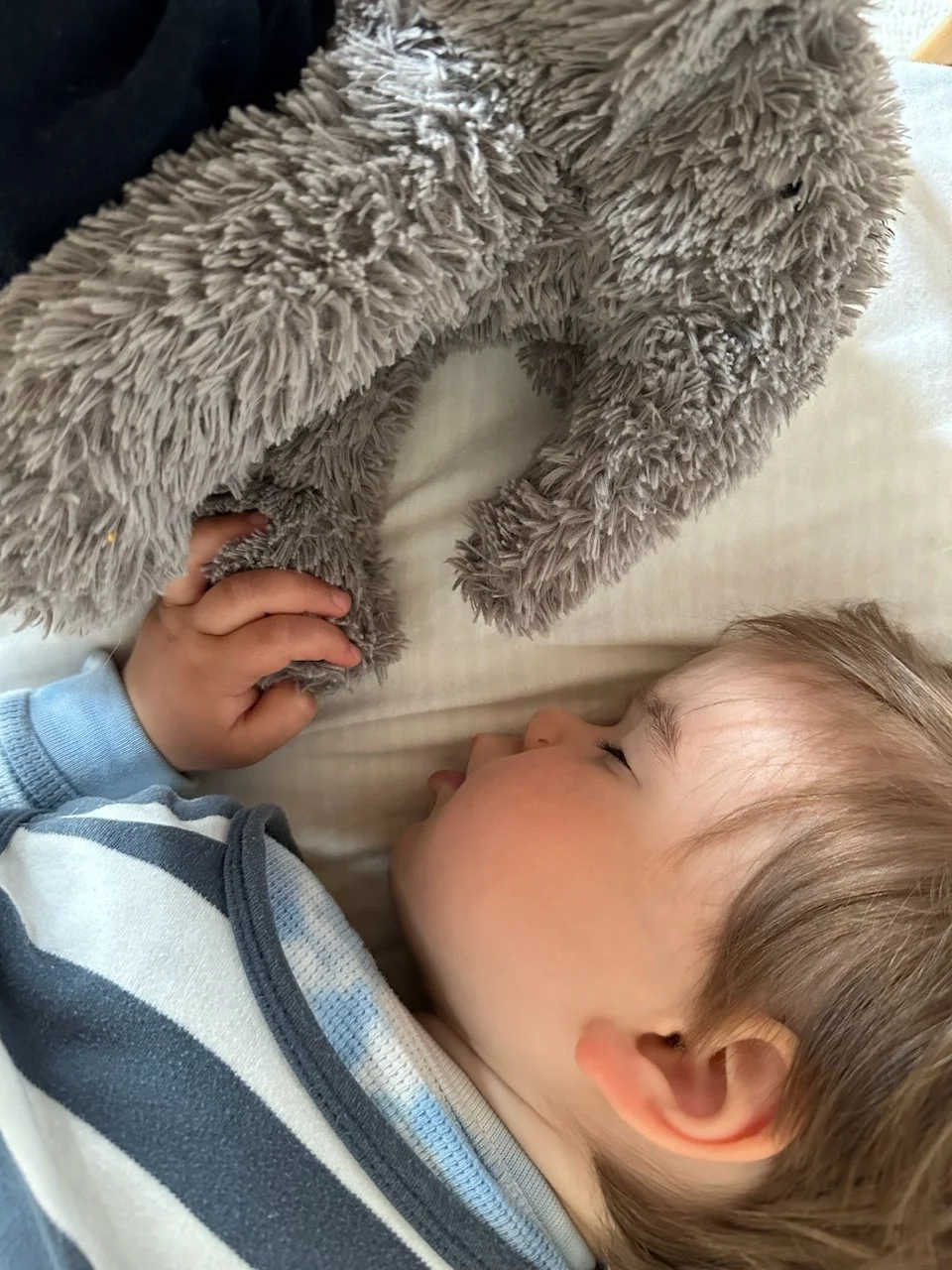 12-month-old napping in a crib, holding an elephant stuffed animal and wearing a sleep sack.