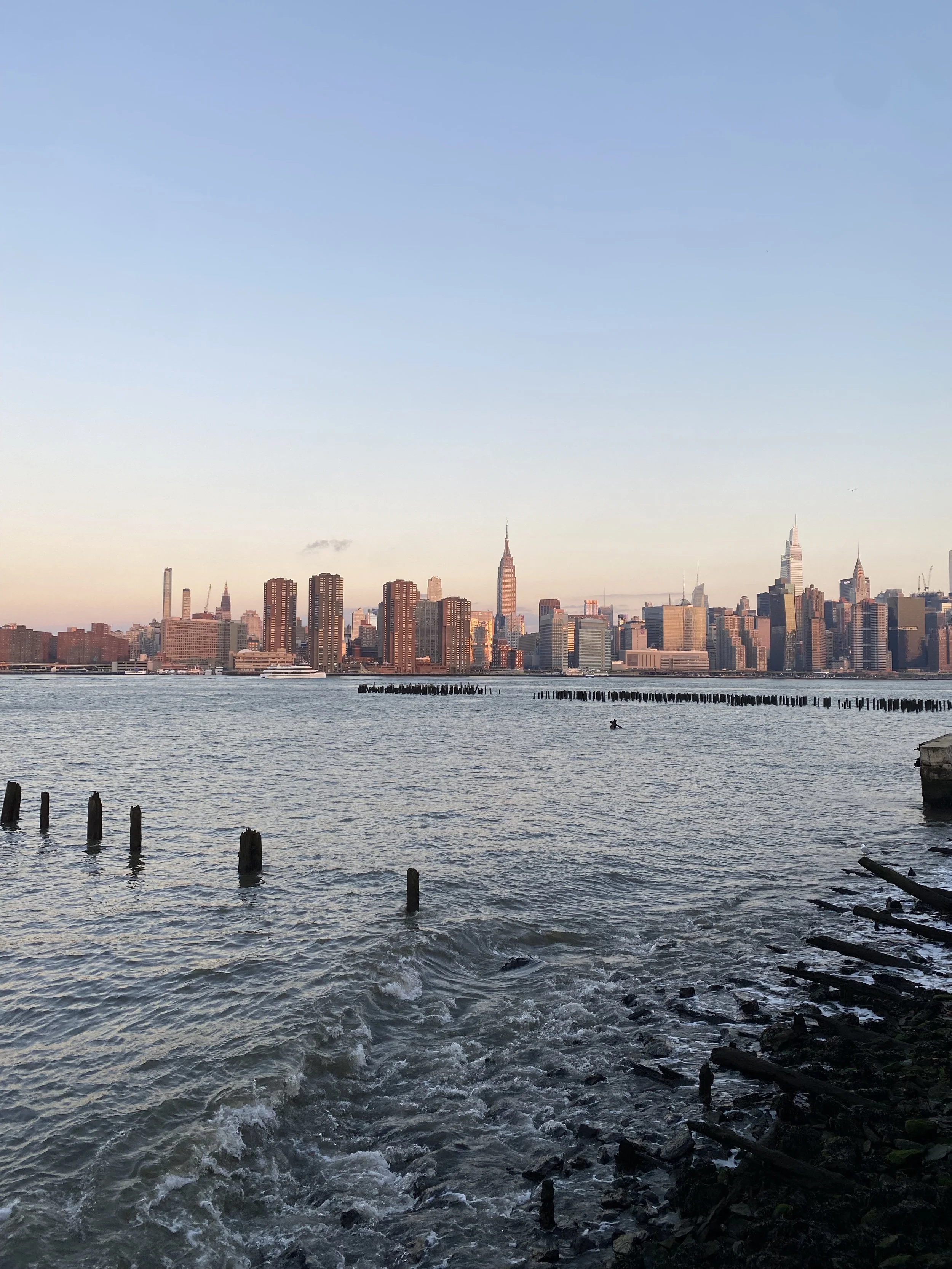 Overview of NYC from a local family home