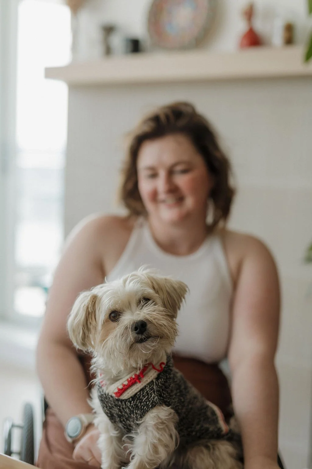 A small grey dog looking straight at the camera, sitting on Ali's lap