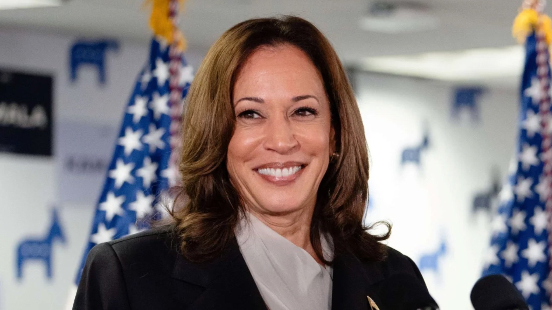 NSL4A Members Statement of Support for VP Kamala Harris