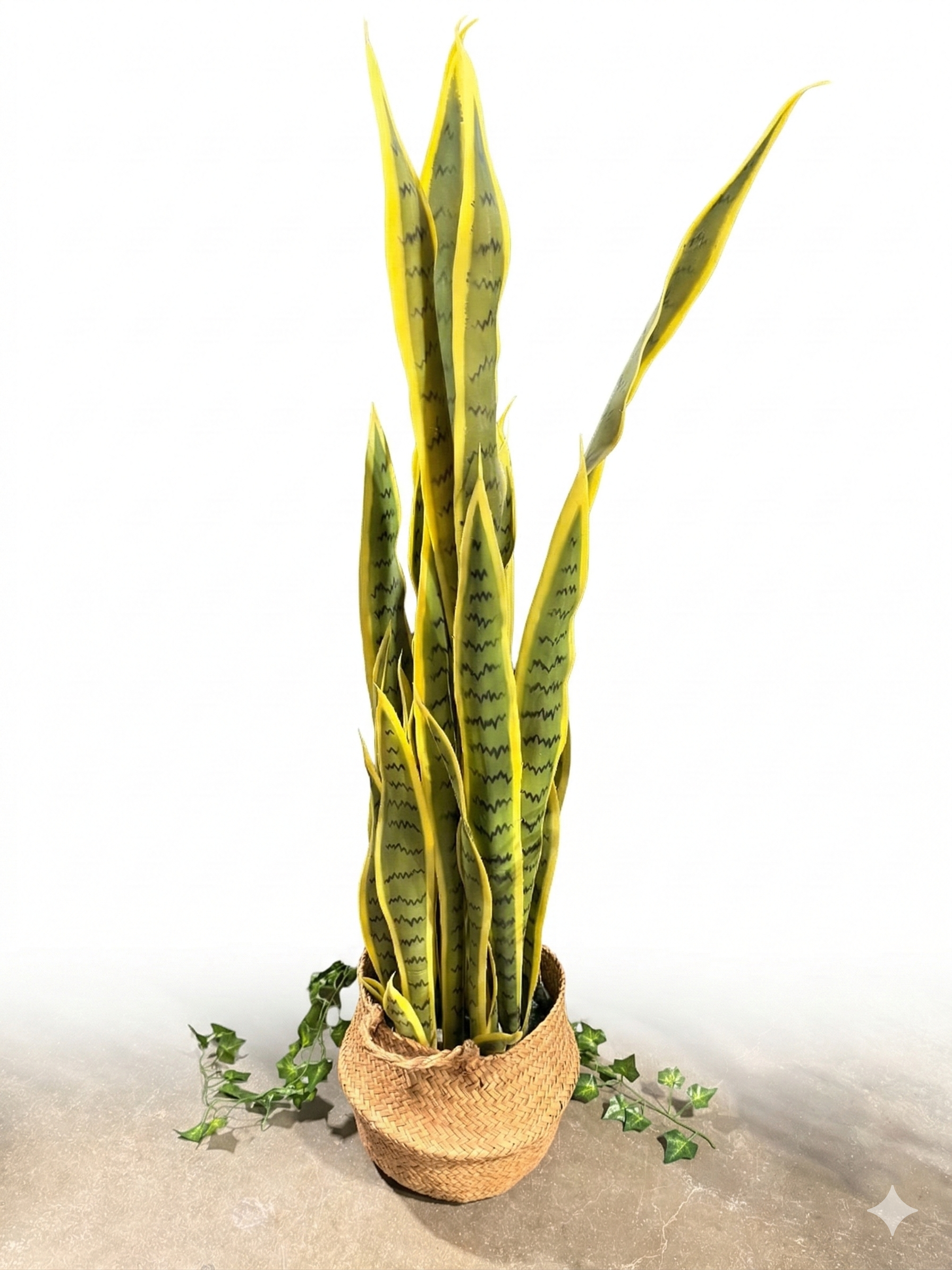 Strong Events - Snake Grass.png