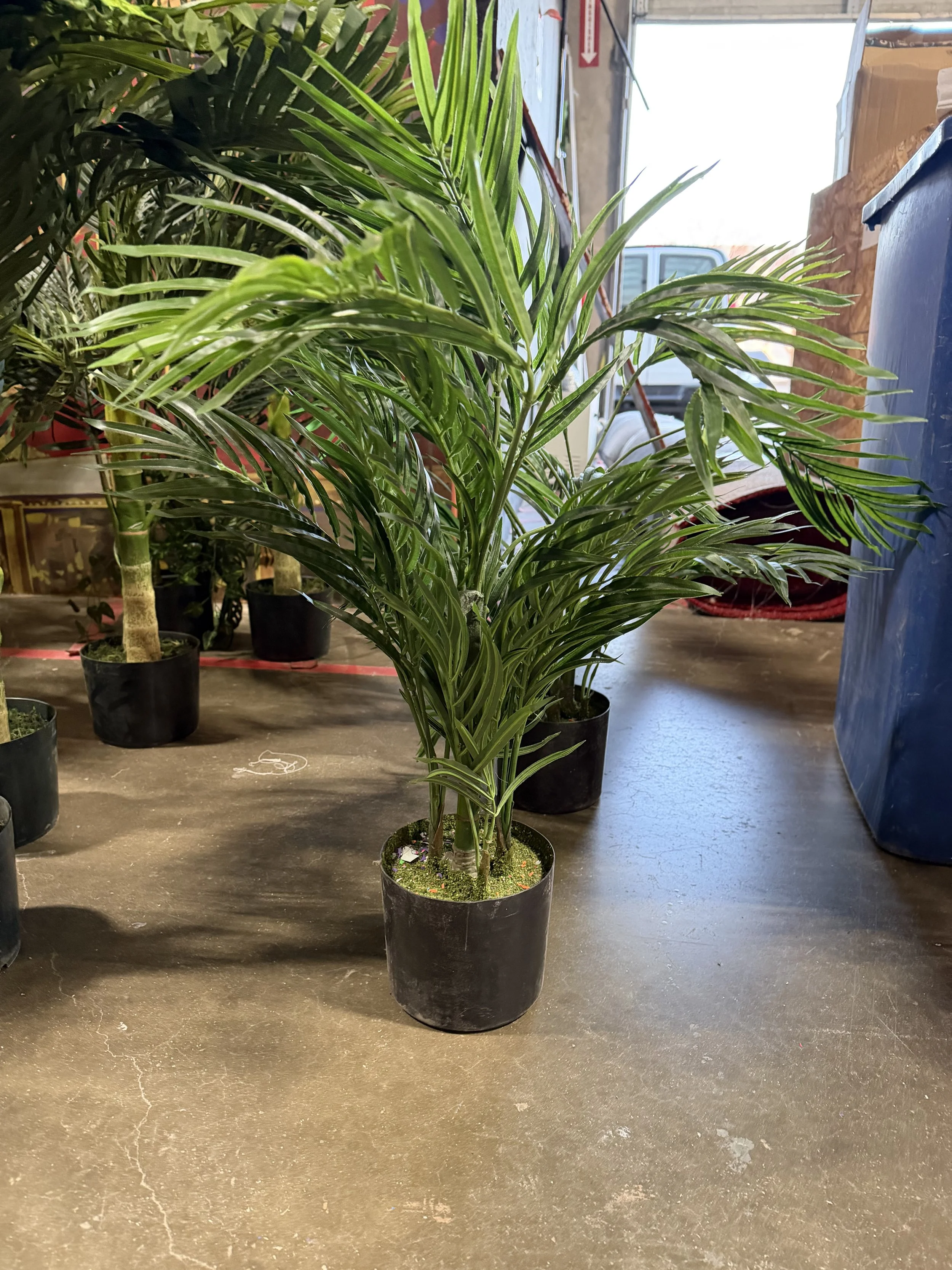 Sm Spike Plants Round.jpeg