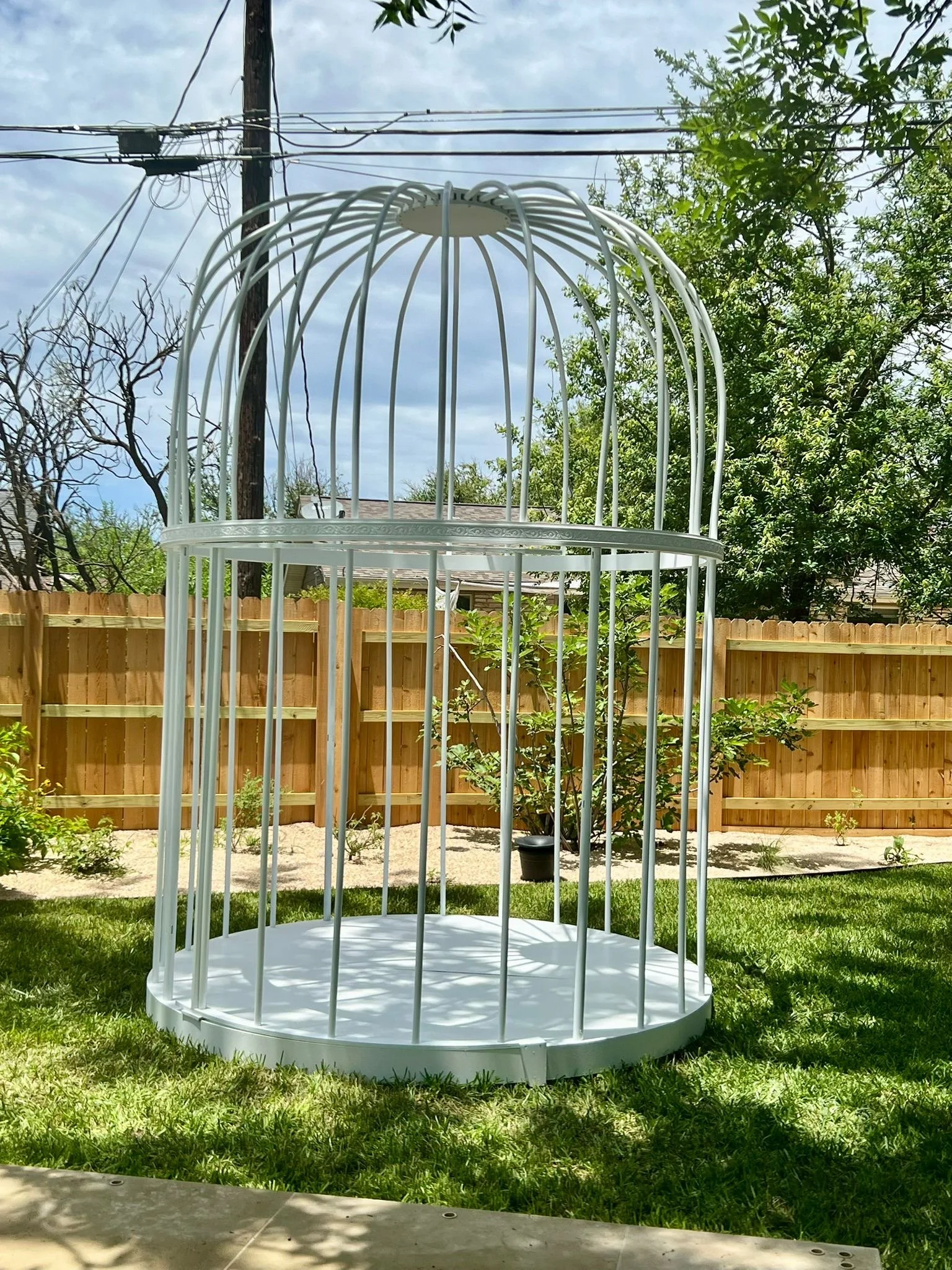 Oversized Birdcage