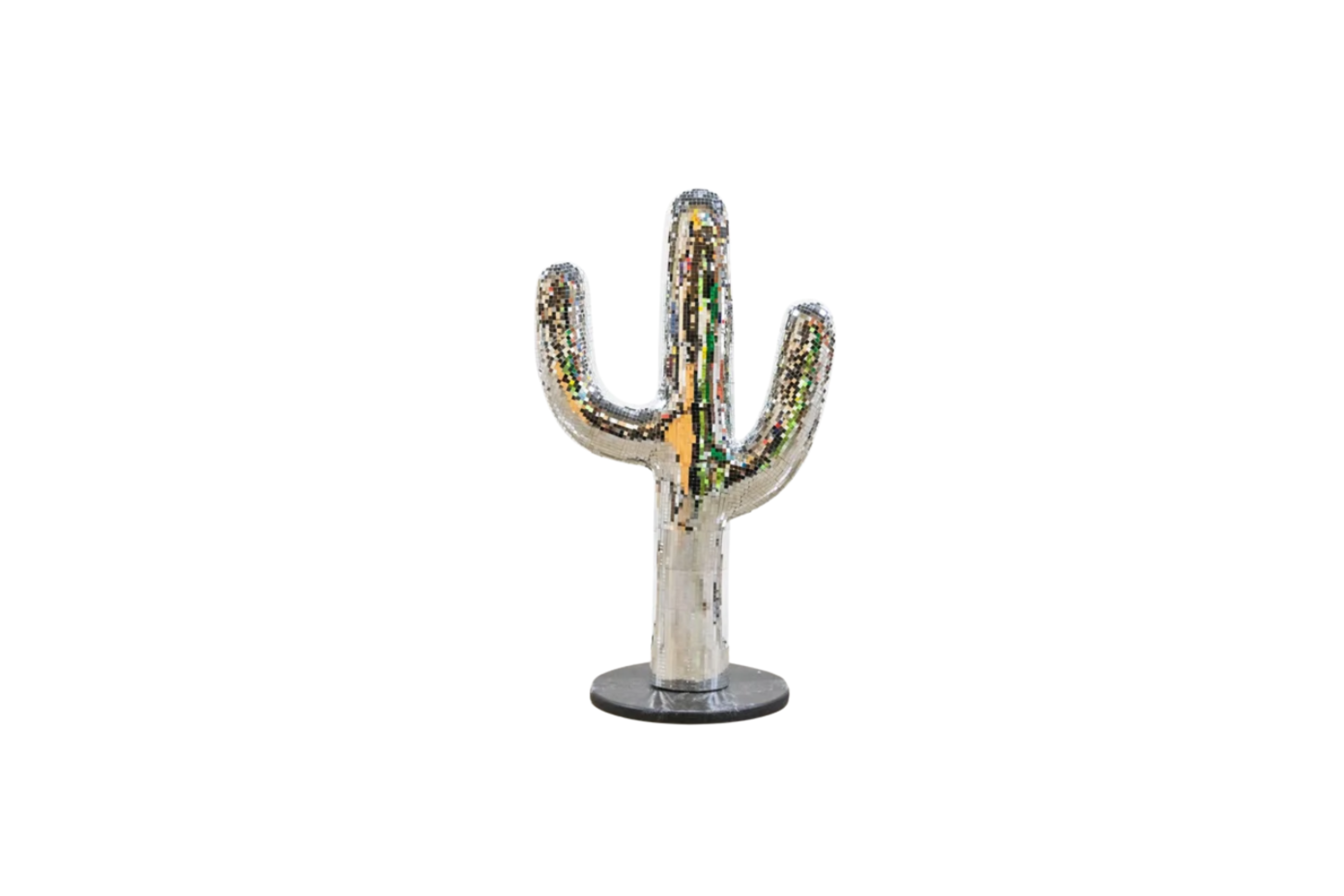 Disco Cactus