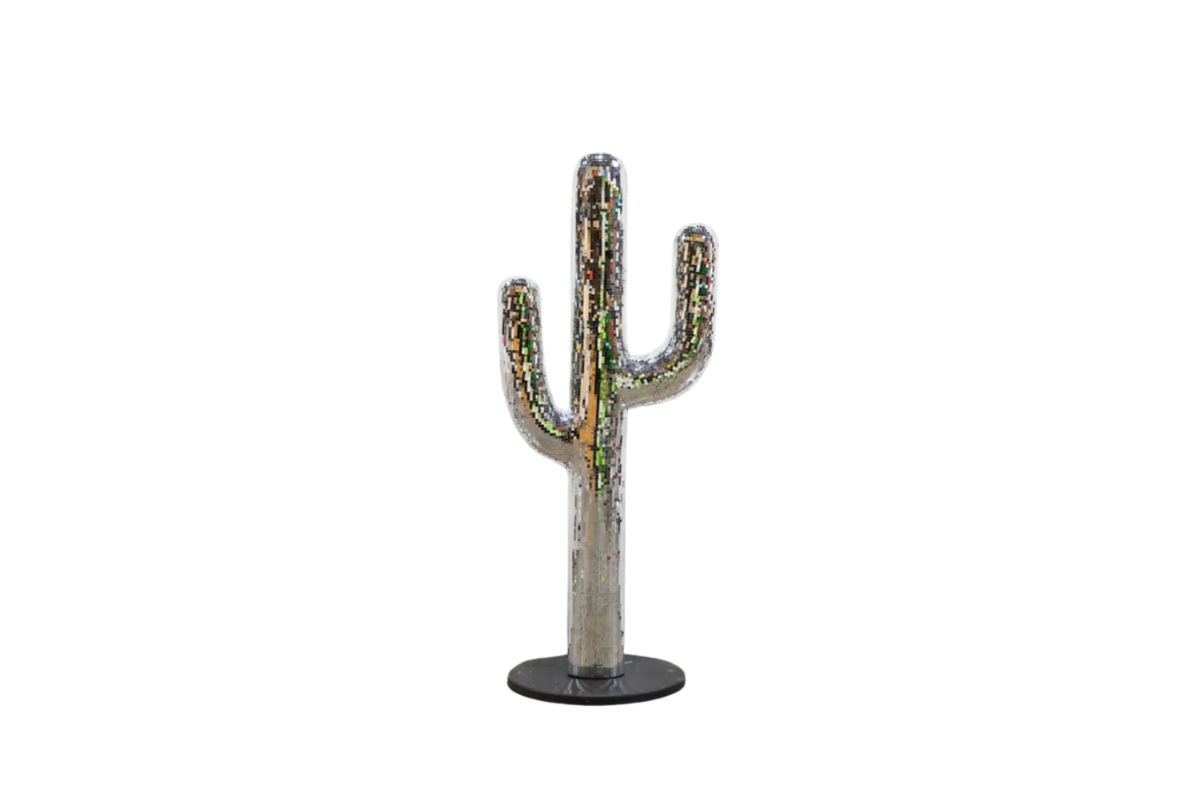 Disco Cactus-P2.png