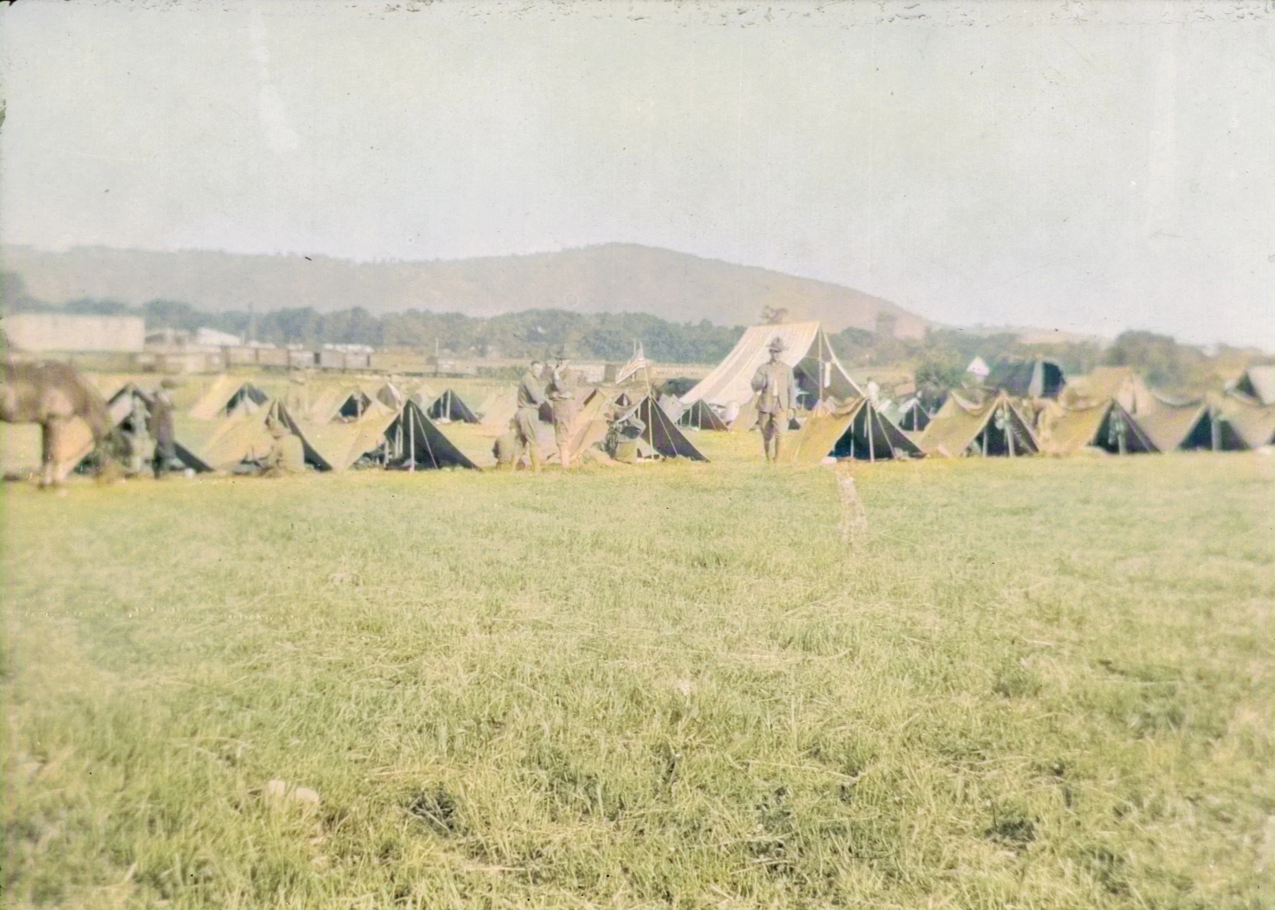image0012_color.jpg