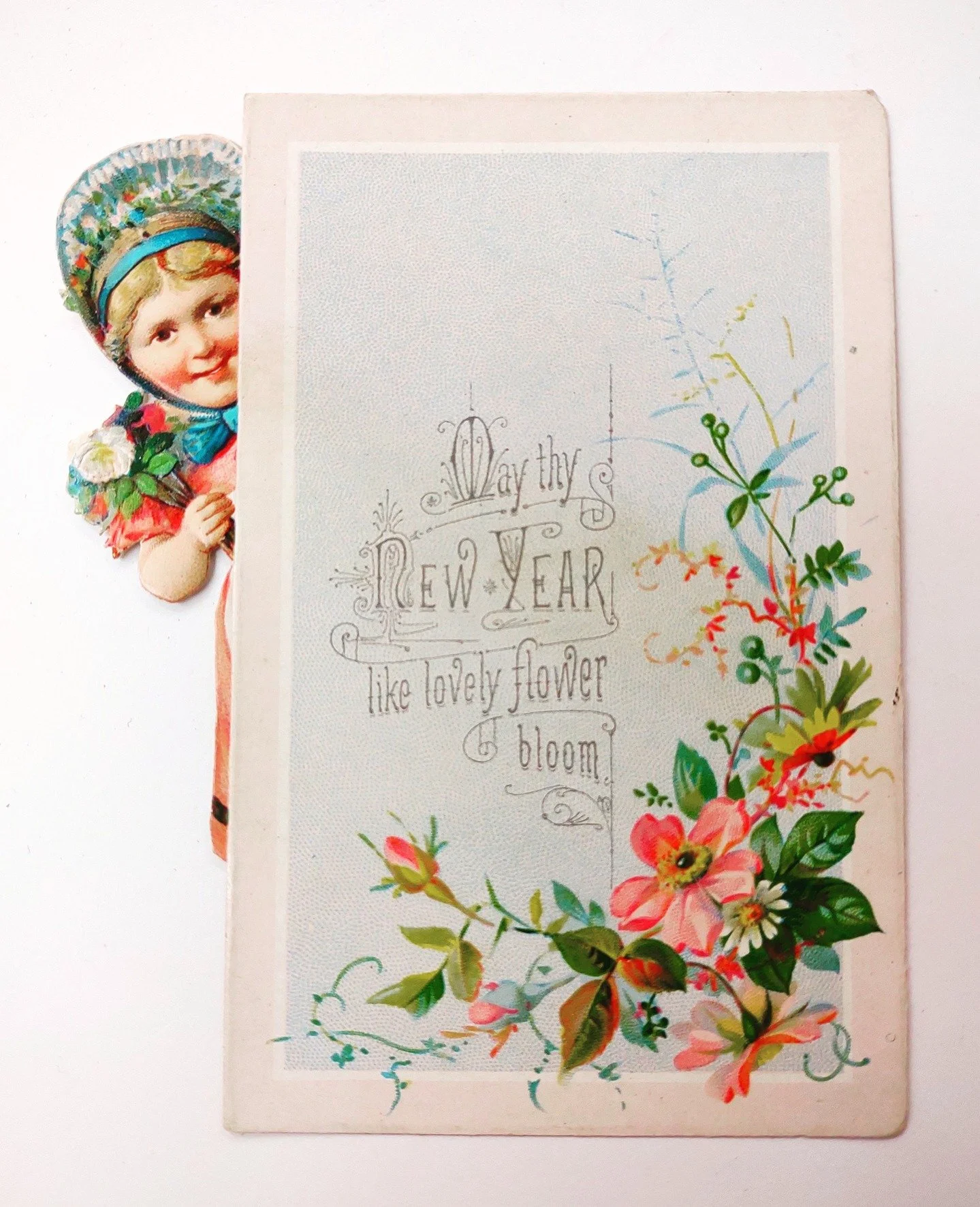 Happy New Year from all of us at SAM! May thy New Year like a lovely flower bloom. Thank you to the 51 supporters that got us to our $15k year end goal. Still want to make a last minute gift? Be a dear and visit the link in bio to make your contribut