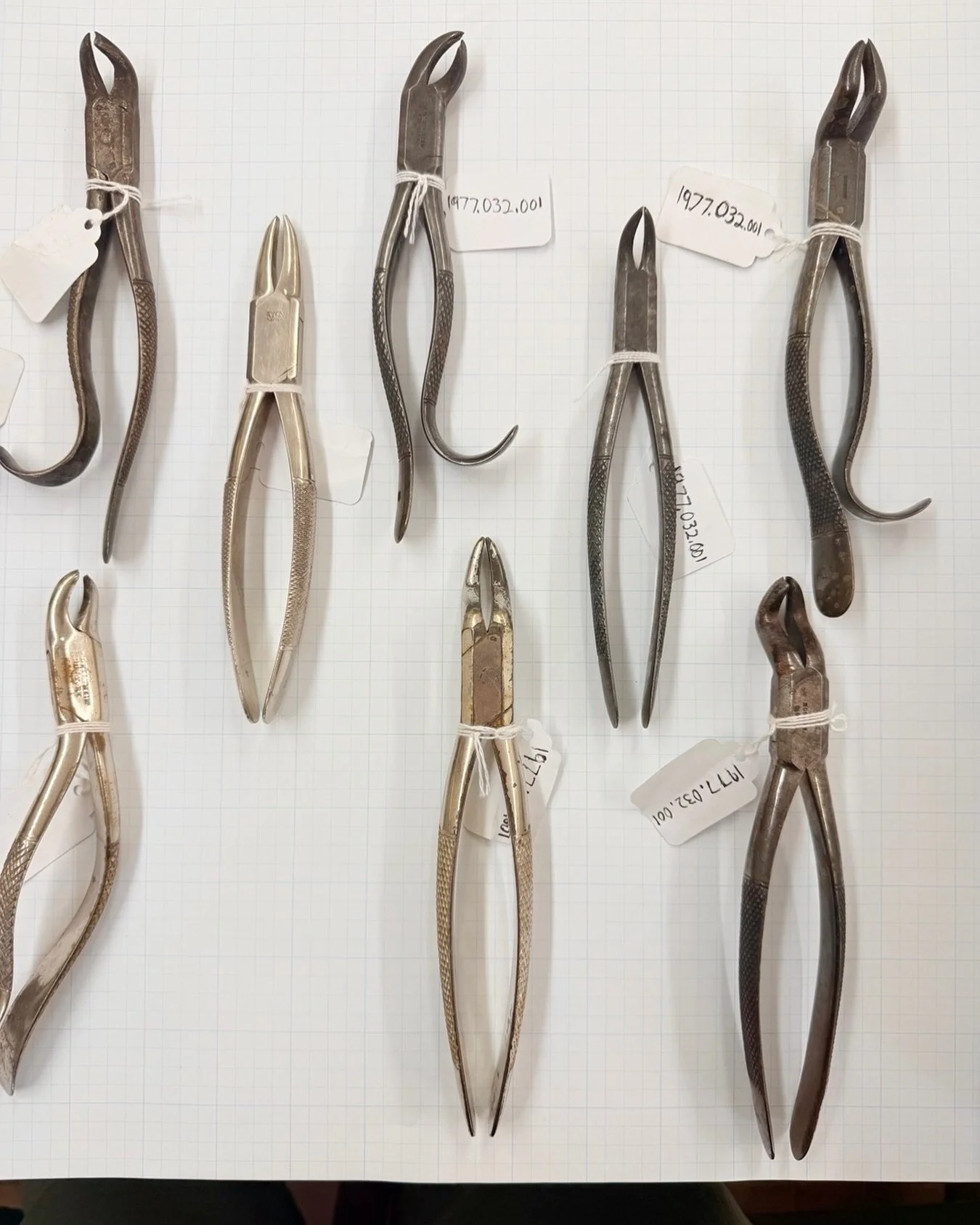 Why do these late 19th century dentist tools look like AI 🤔 Have you visited our Medical History room at SAM? We are researching a new exhibit on dentistry for the 2026 Season. Our extensive collection of Dental Forceps &amp; Extractors came from th