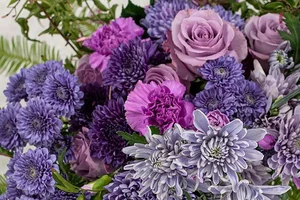 Ocean Series Chrysanthemums from Florigene and Suntory Flowers! — J ...