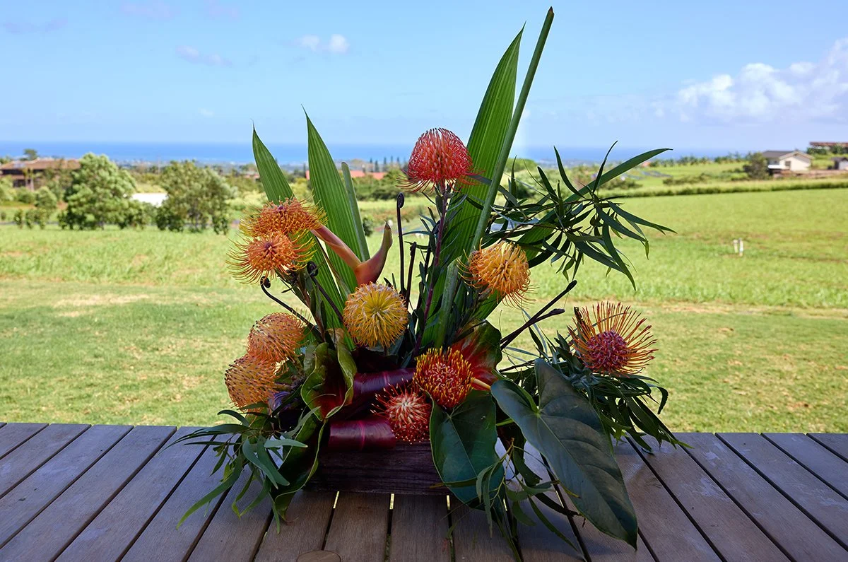 Arranging Pin Cushing Protea- On Location at Two Bees Protea Farm!