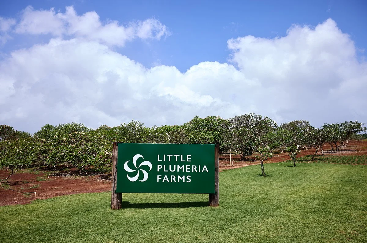 A Visit to Little Plumeria Farms
