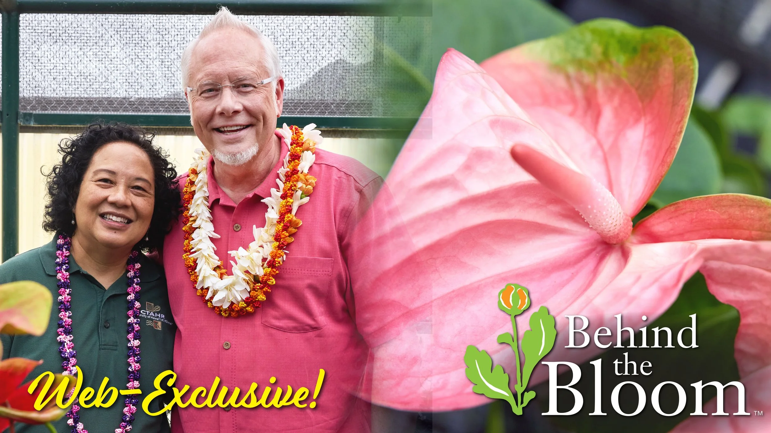 Behind the Bloom – with Tessie Amore Ph.D and Anthurium.