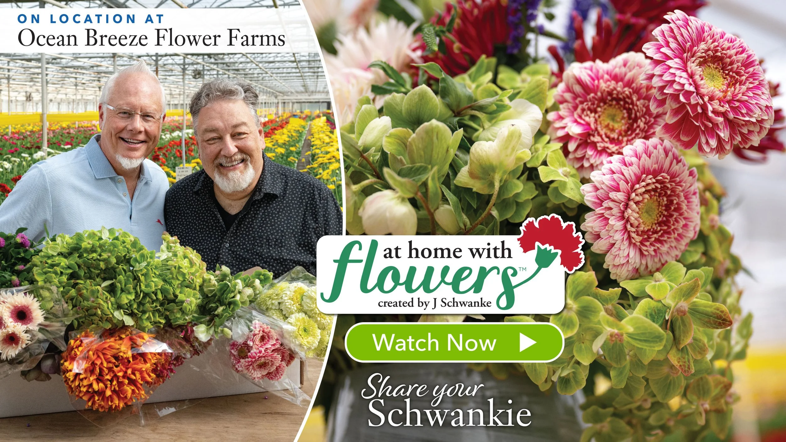 “Share Your Schwankies” Sweepstakes!